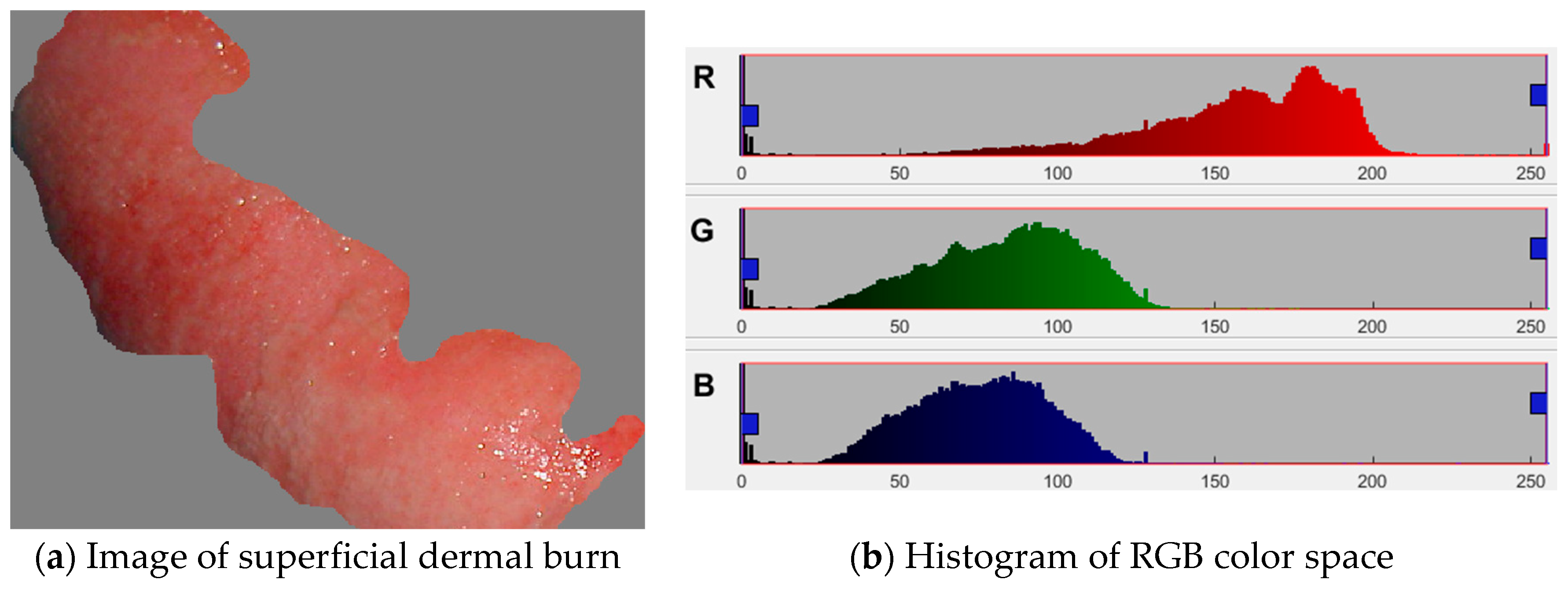 Electronics 13 03665 g003