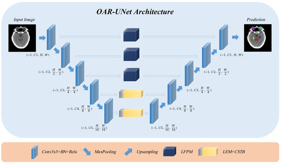 OAR-UNet: Enhancing Long-Distance Dependencies for Head and Neck OAR ...