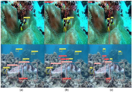 FishDet-YOLO: Enhanced Underwater Fish Detection with Richer Gradient ...