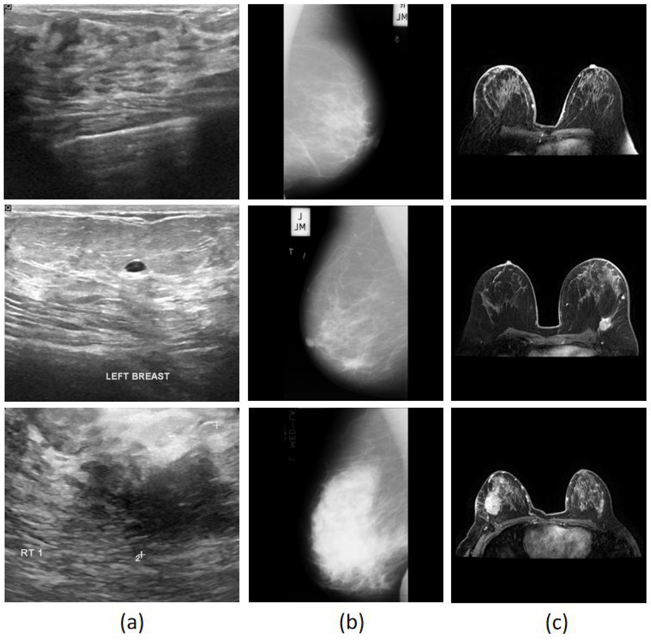 Electronics 13 03814 g006
