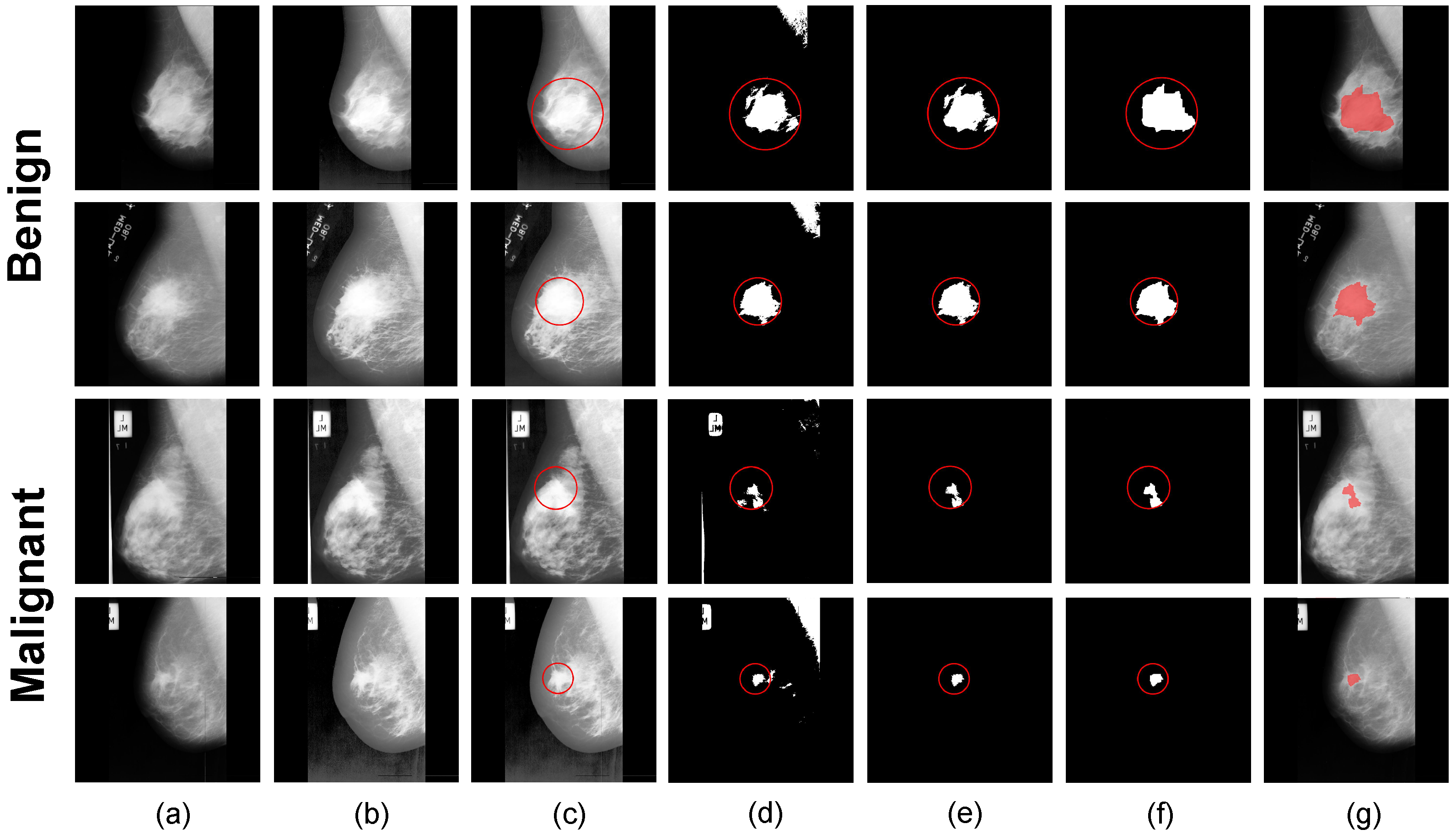 Electronics 13 03814 g019