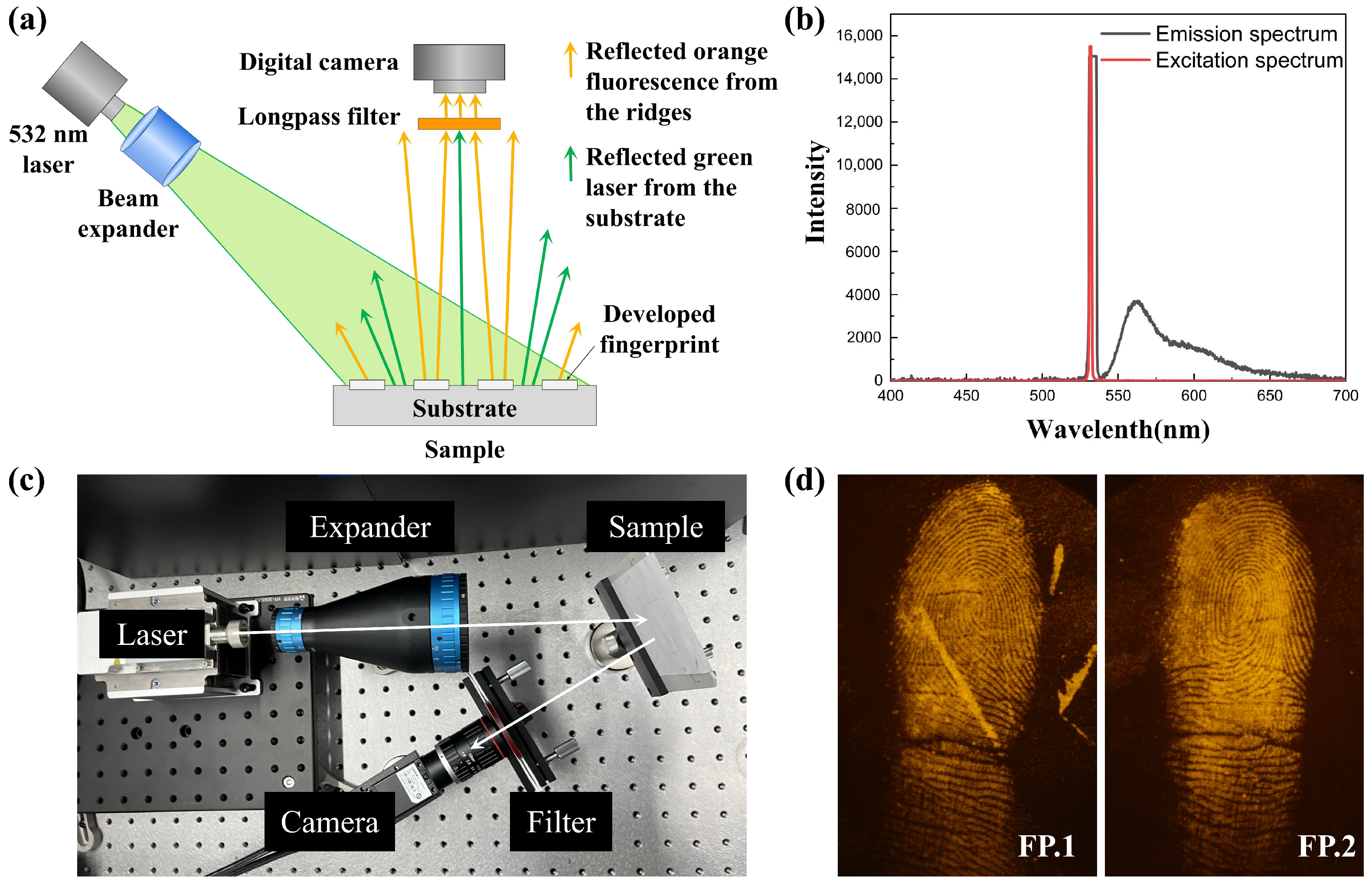 Electronics 13 03886 g003