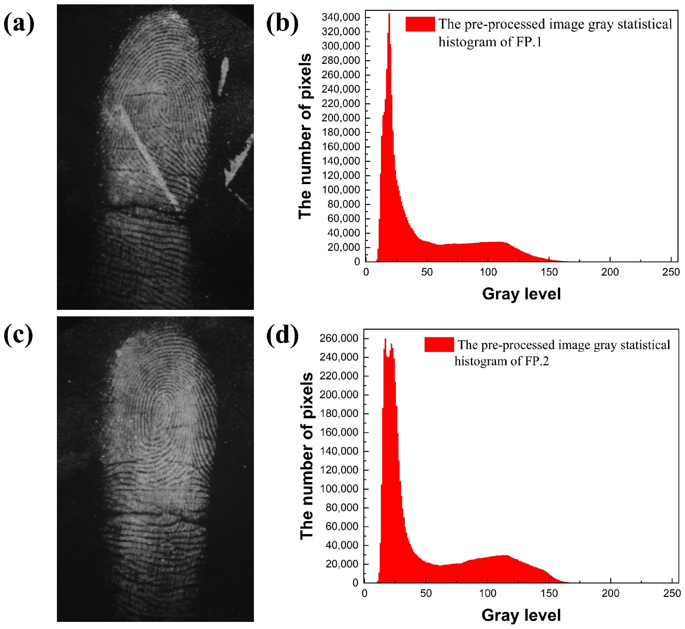 Electronics 13 03886 g004
