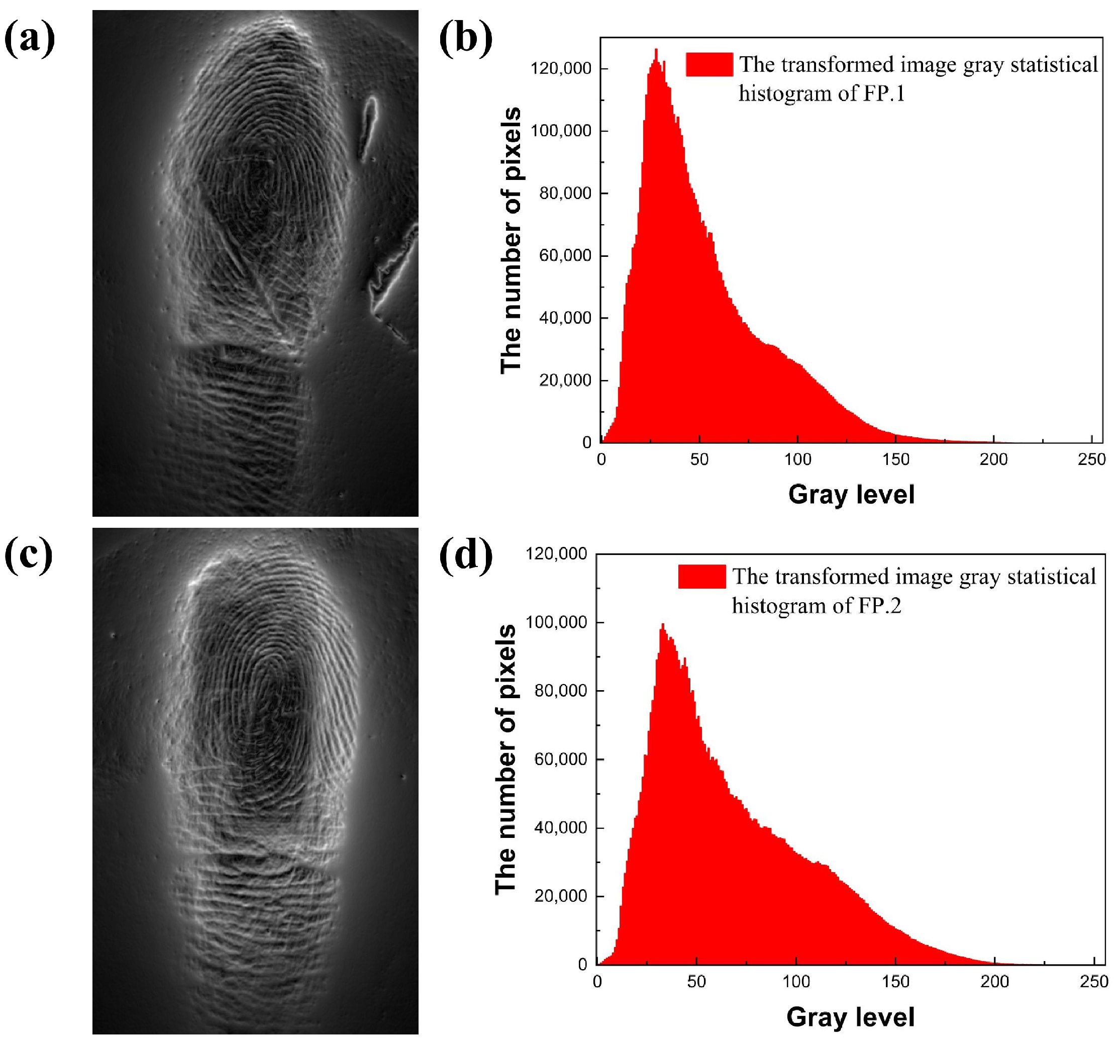 Electronics 13 03886 g005