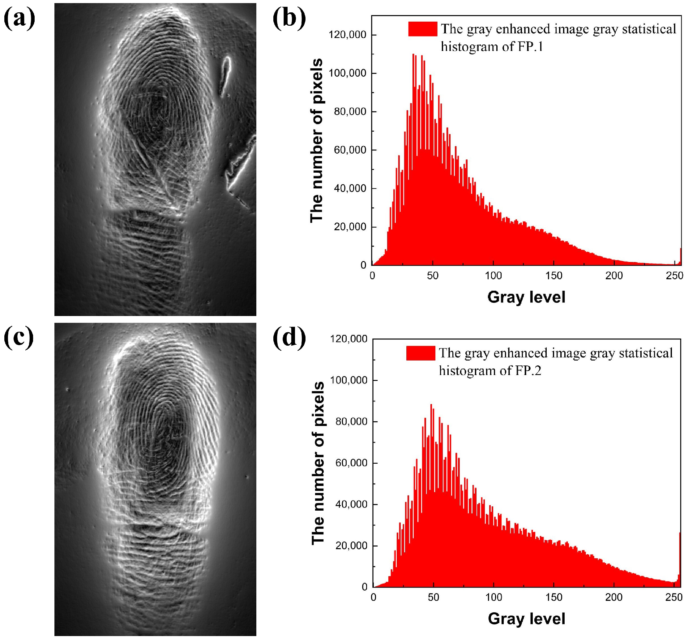 Electronics 13 03886 g006