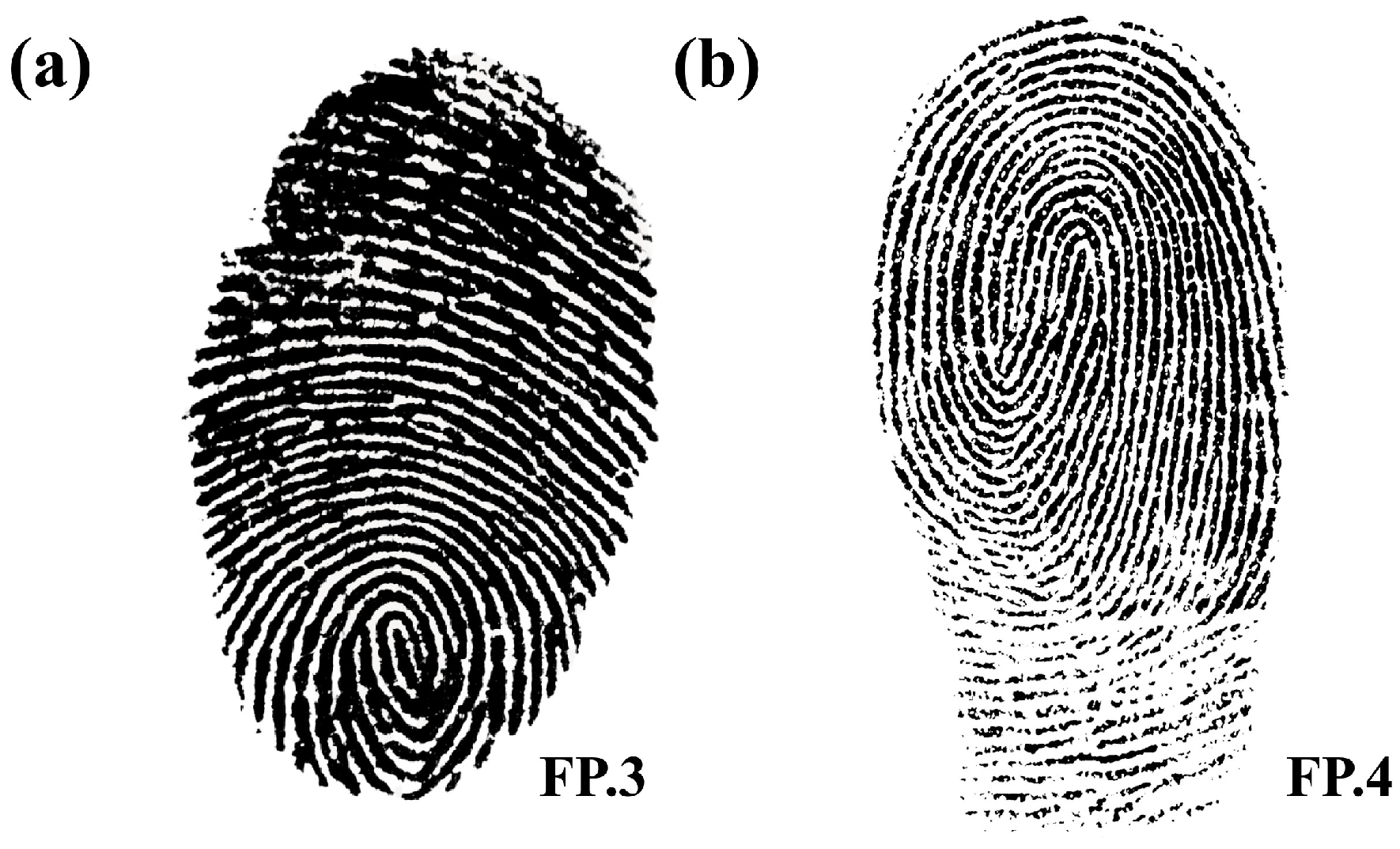 Electronics 13 03886 g007