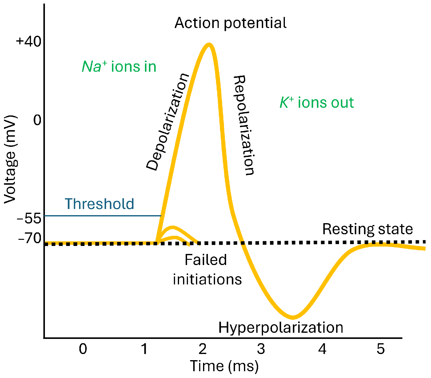 Electronics 13 03899 g003