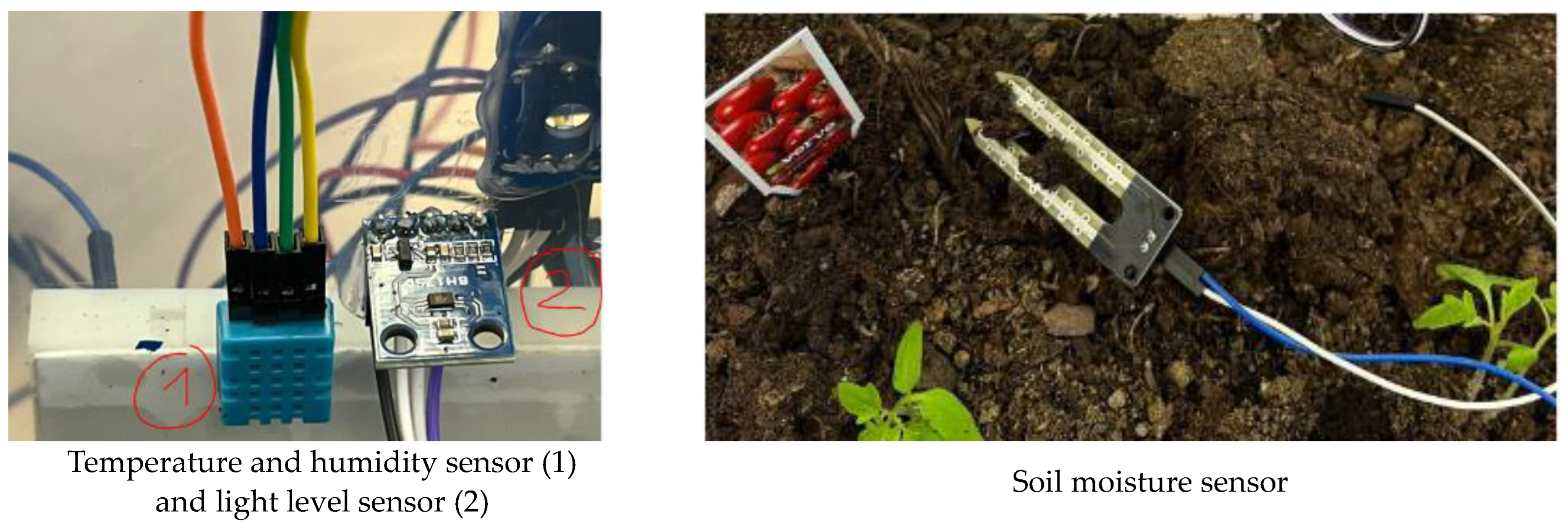 Electronics 13 03997 g002