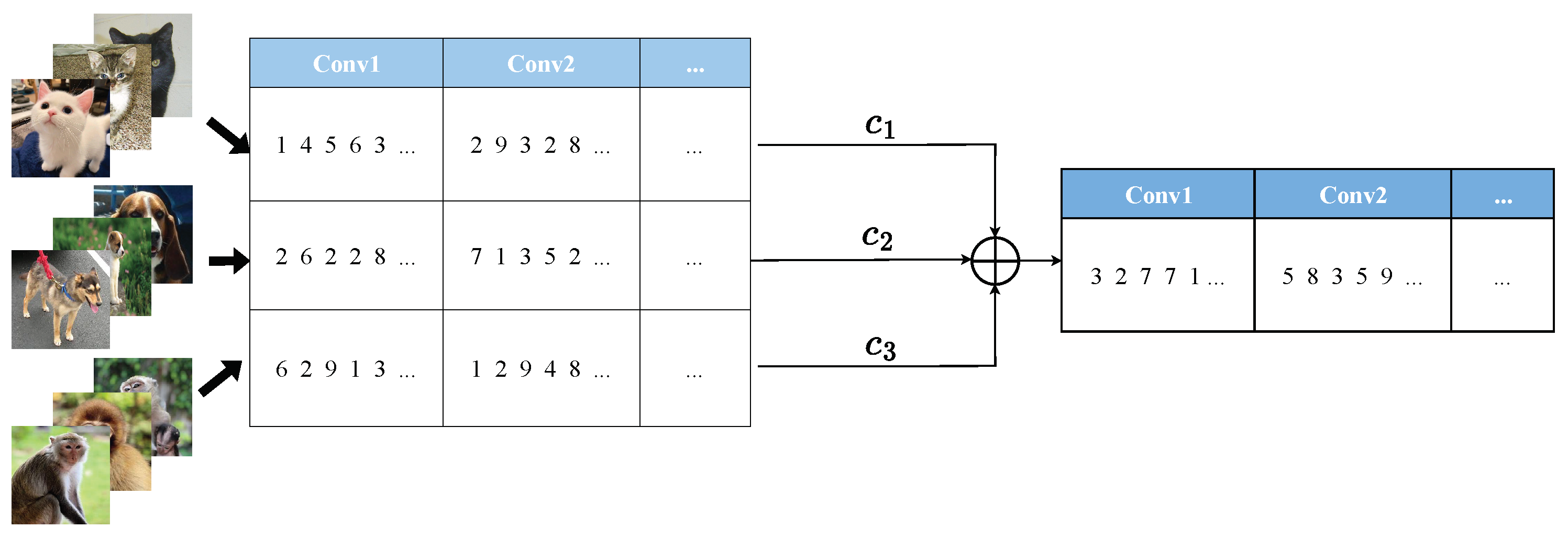 Electronics 13 04029 g005