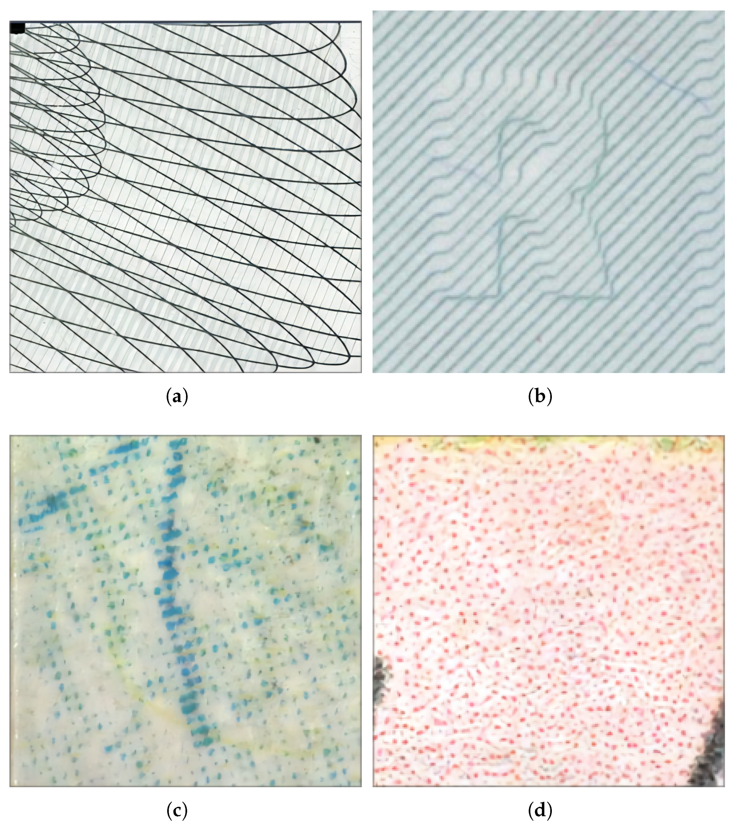 Electronics 13 04160 g002