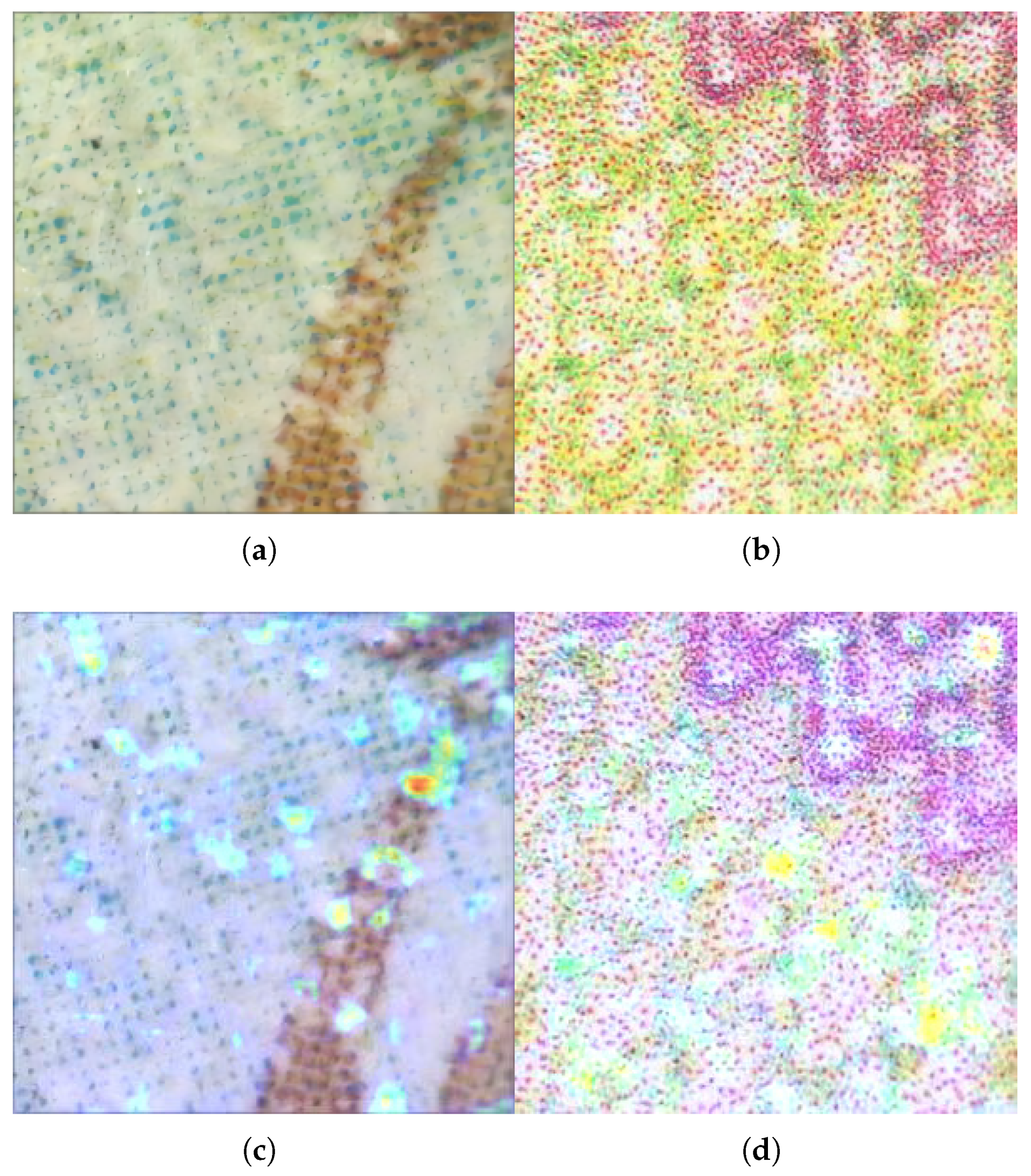 Electronics 13 04160 g008