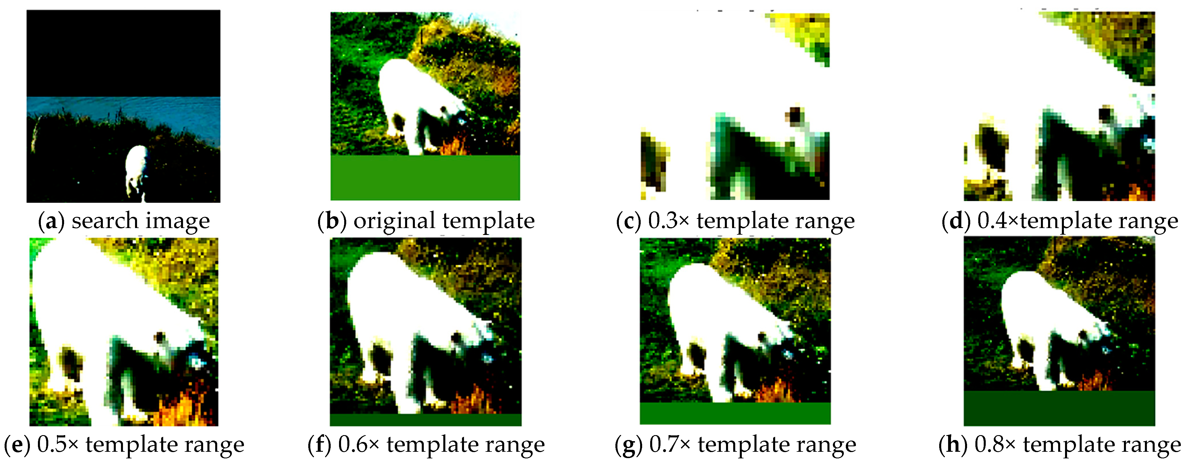 Electronics 13 04309 g003