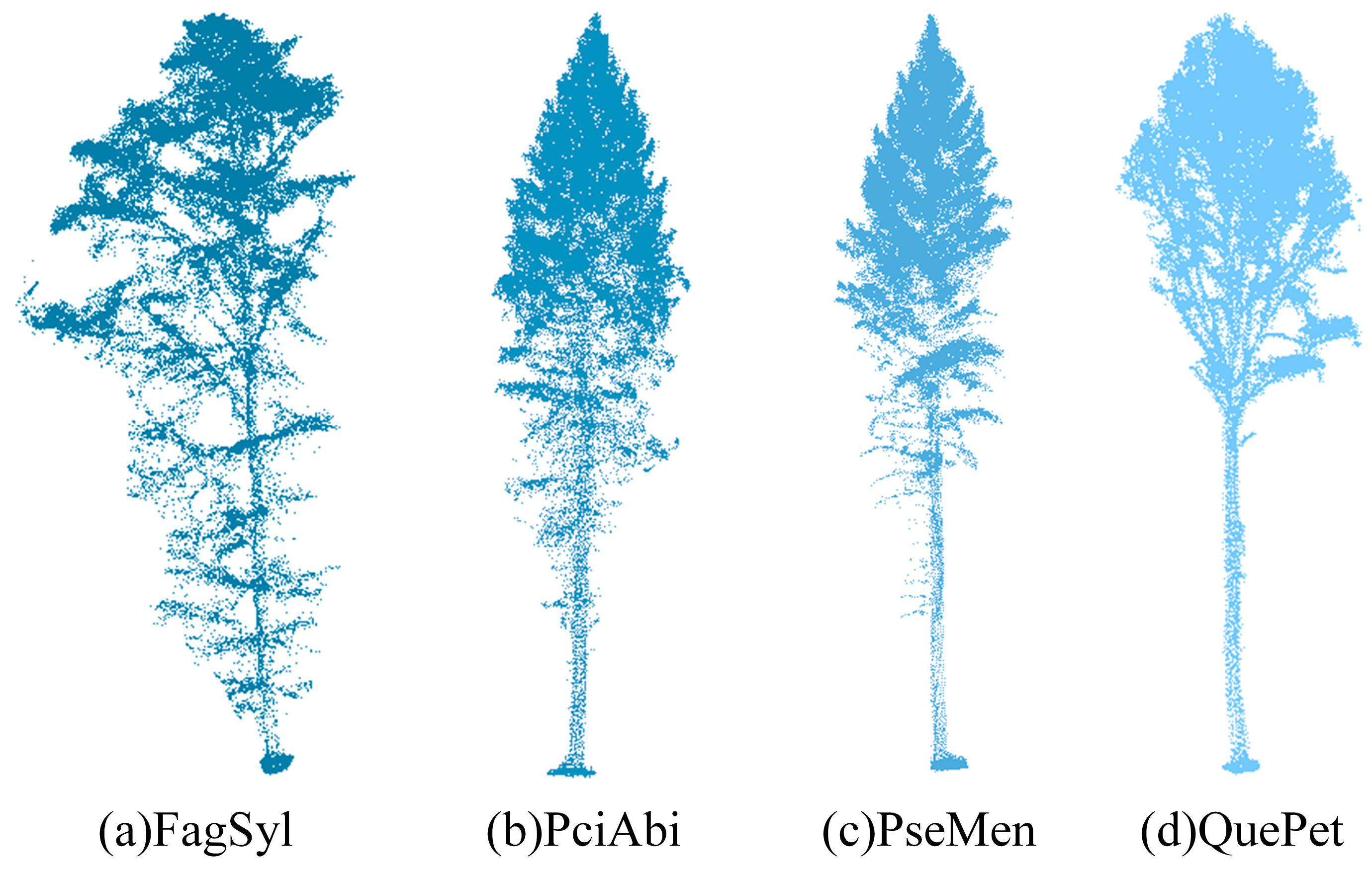 Electronics 13 04355 g005