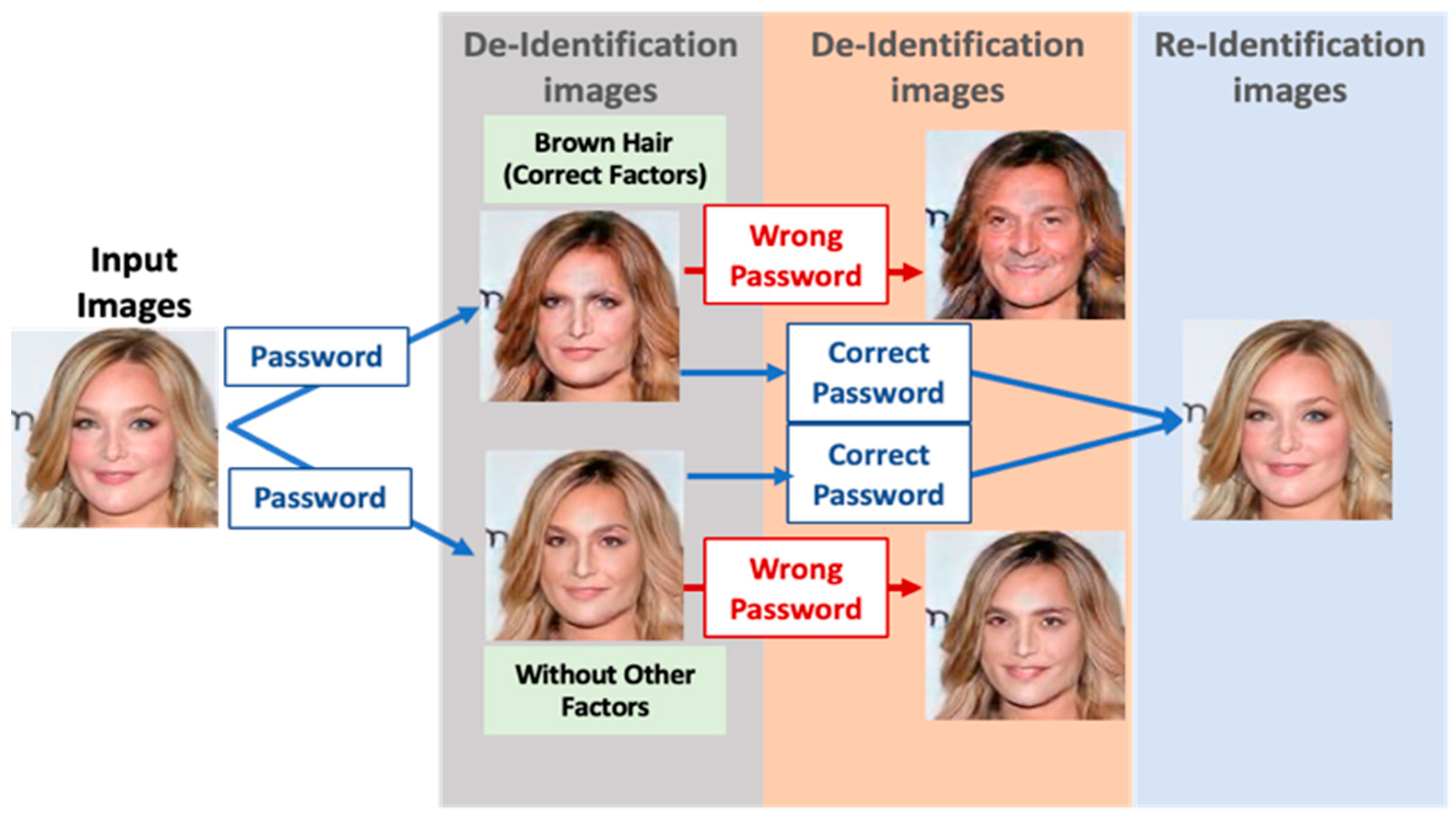 Electronics 13 04398 g001