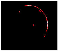 Electronics 13 04484 i006