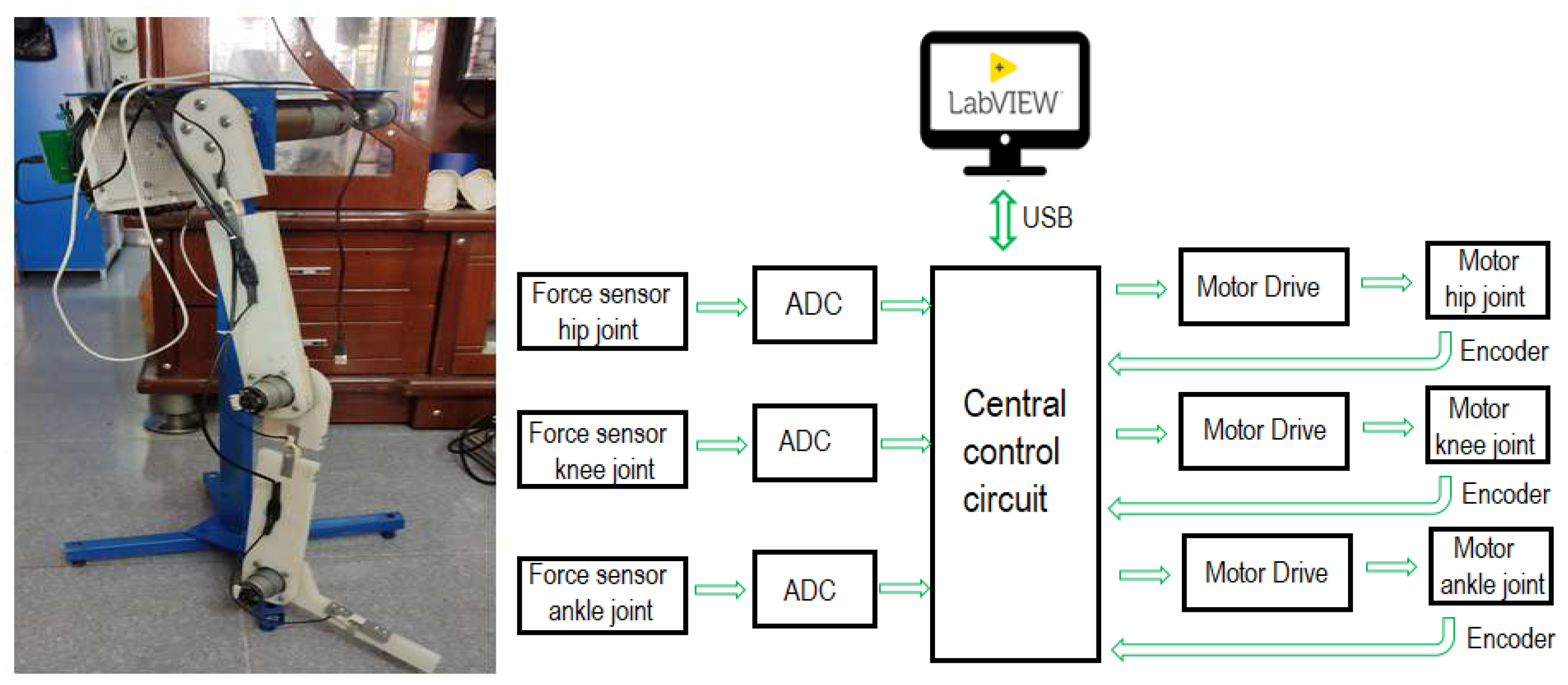 Electronics 13 04494 g003