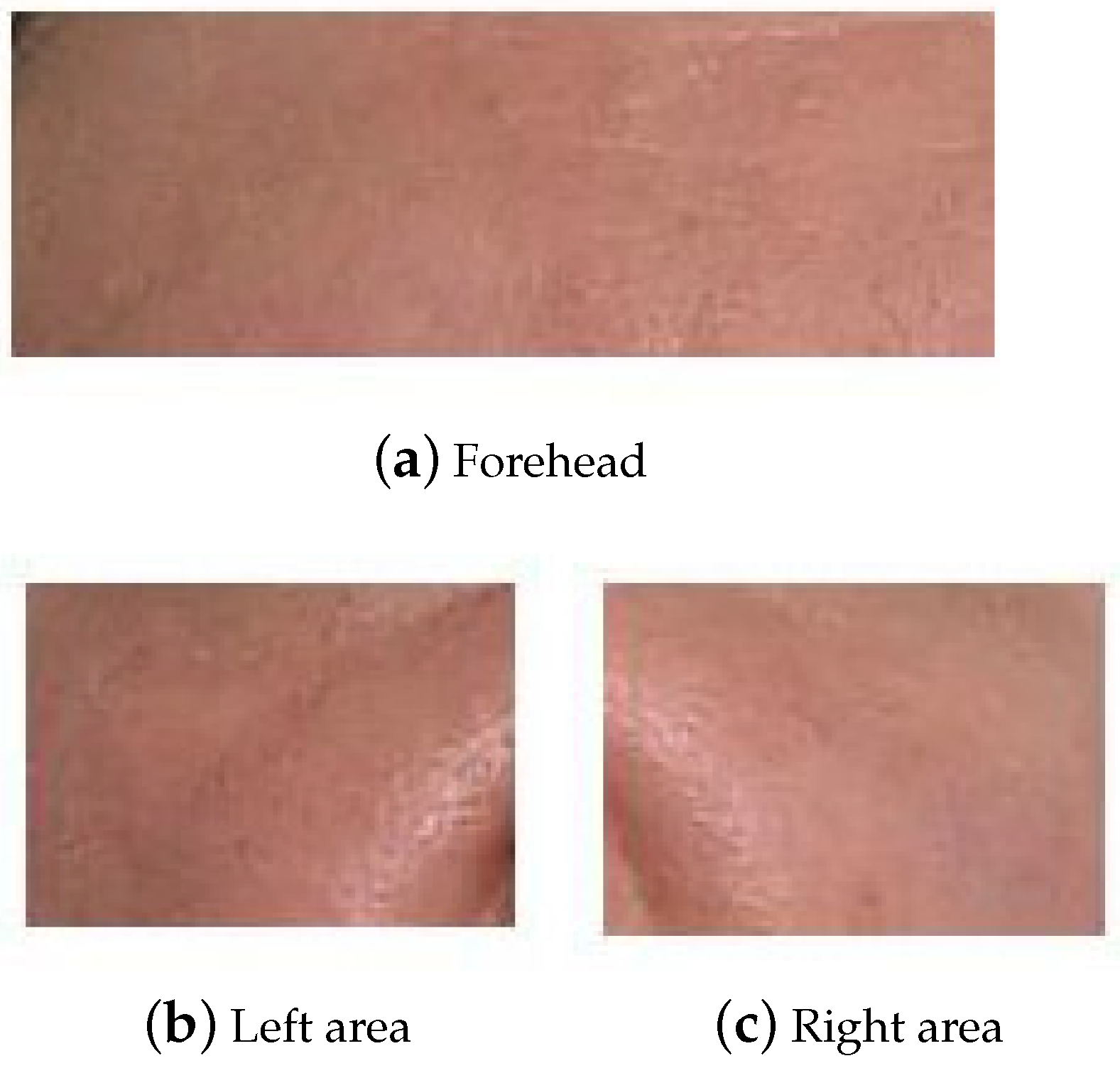 Electronics 13 04499 g003