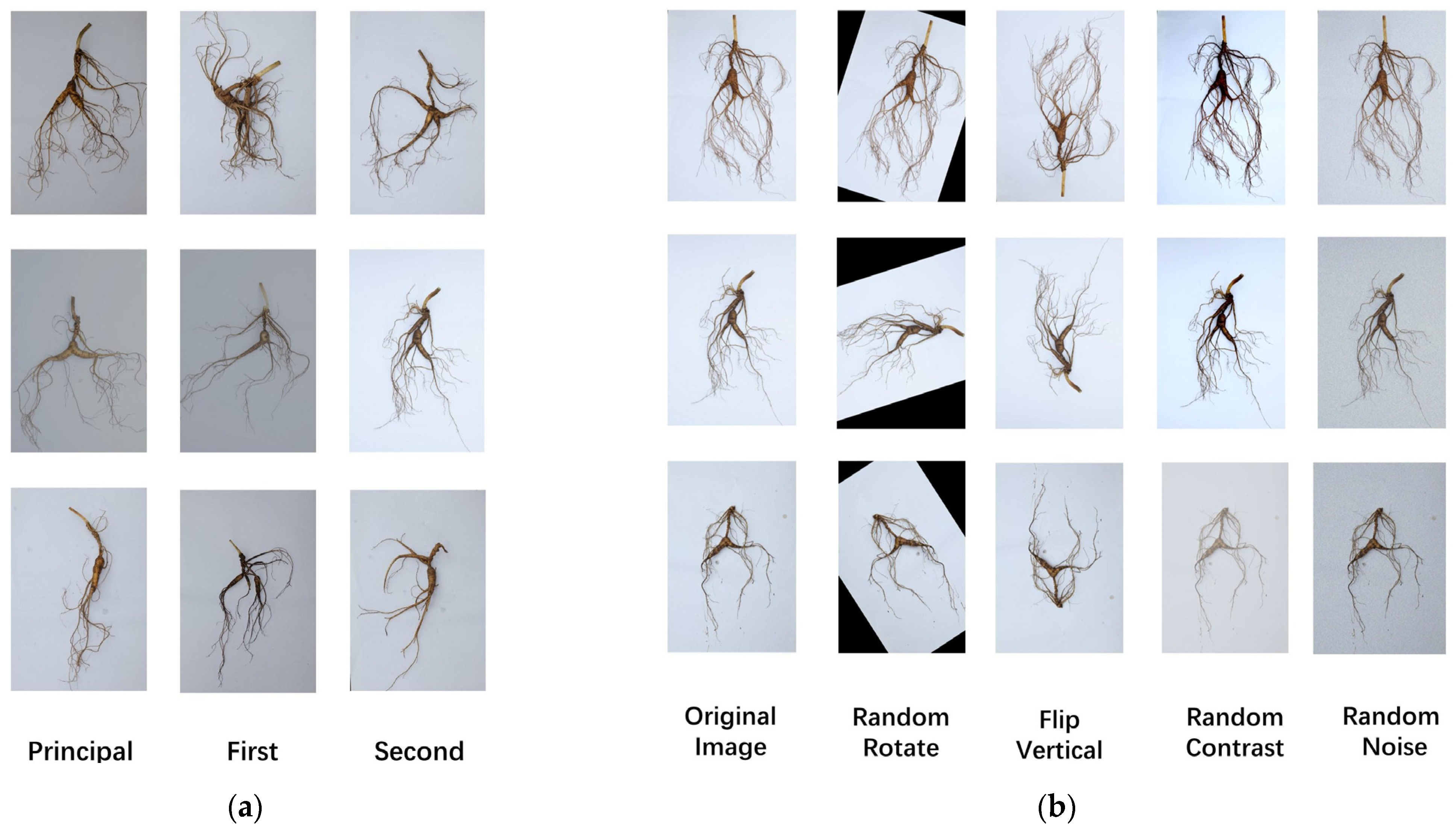 Electronics 13 04504 g001