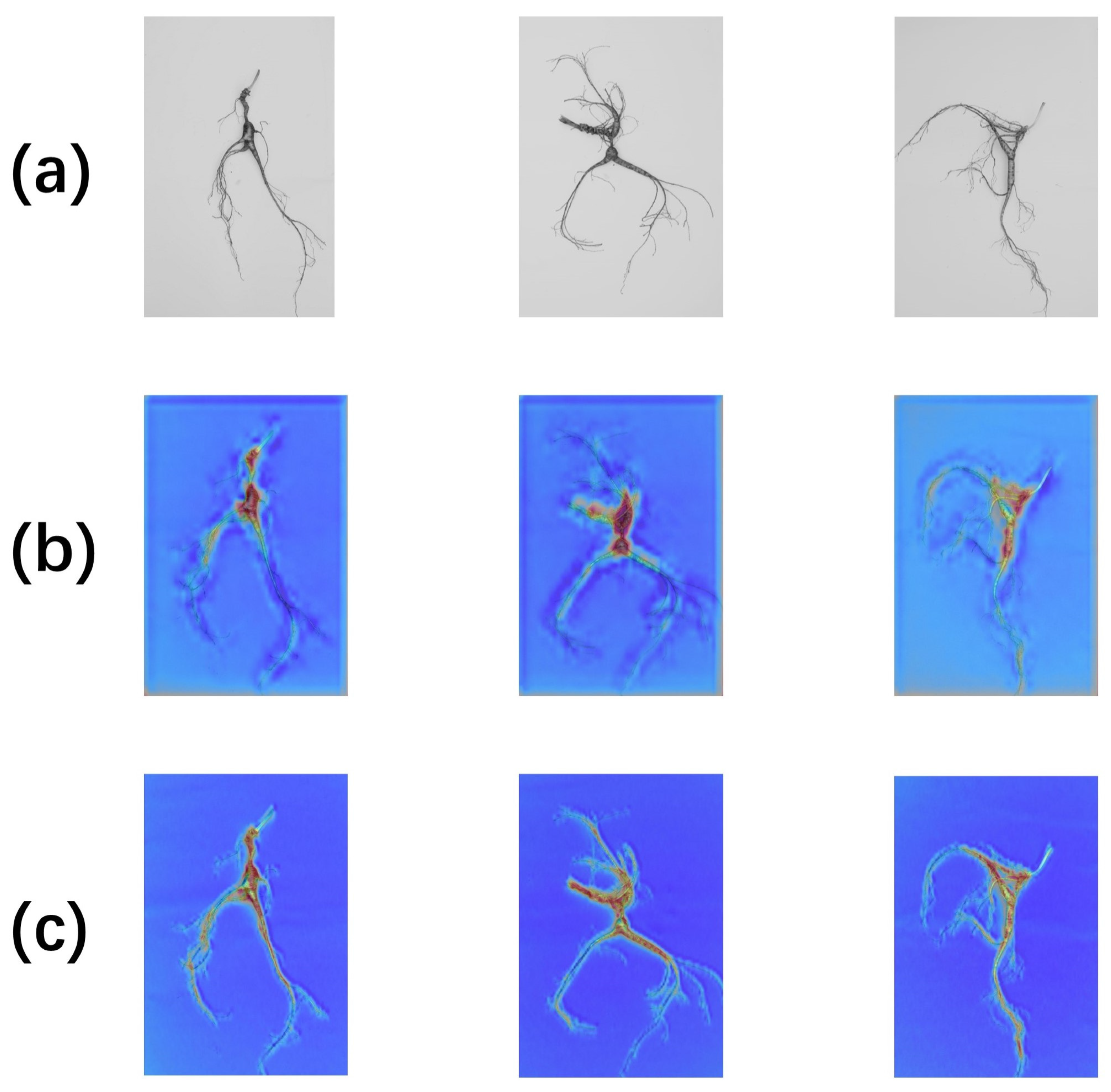 Electronics 13 04504 g006
