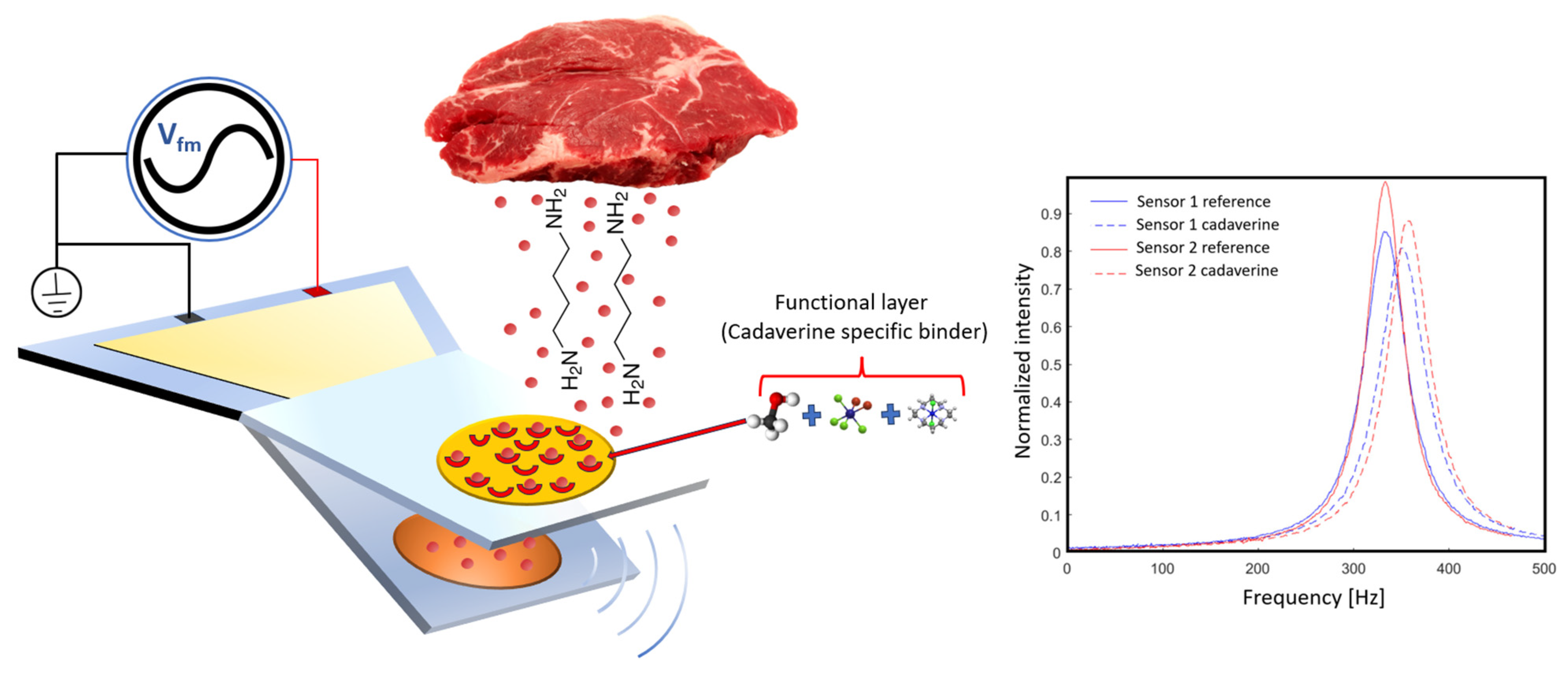 Electronics 13 04525 g002