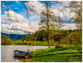 Electronics 13 04541 i001