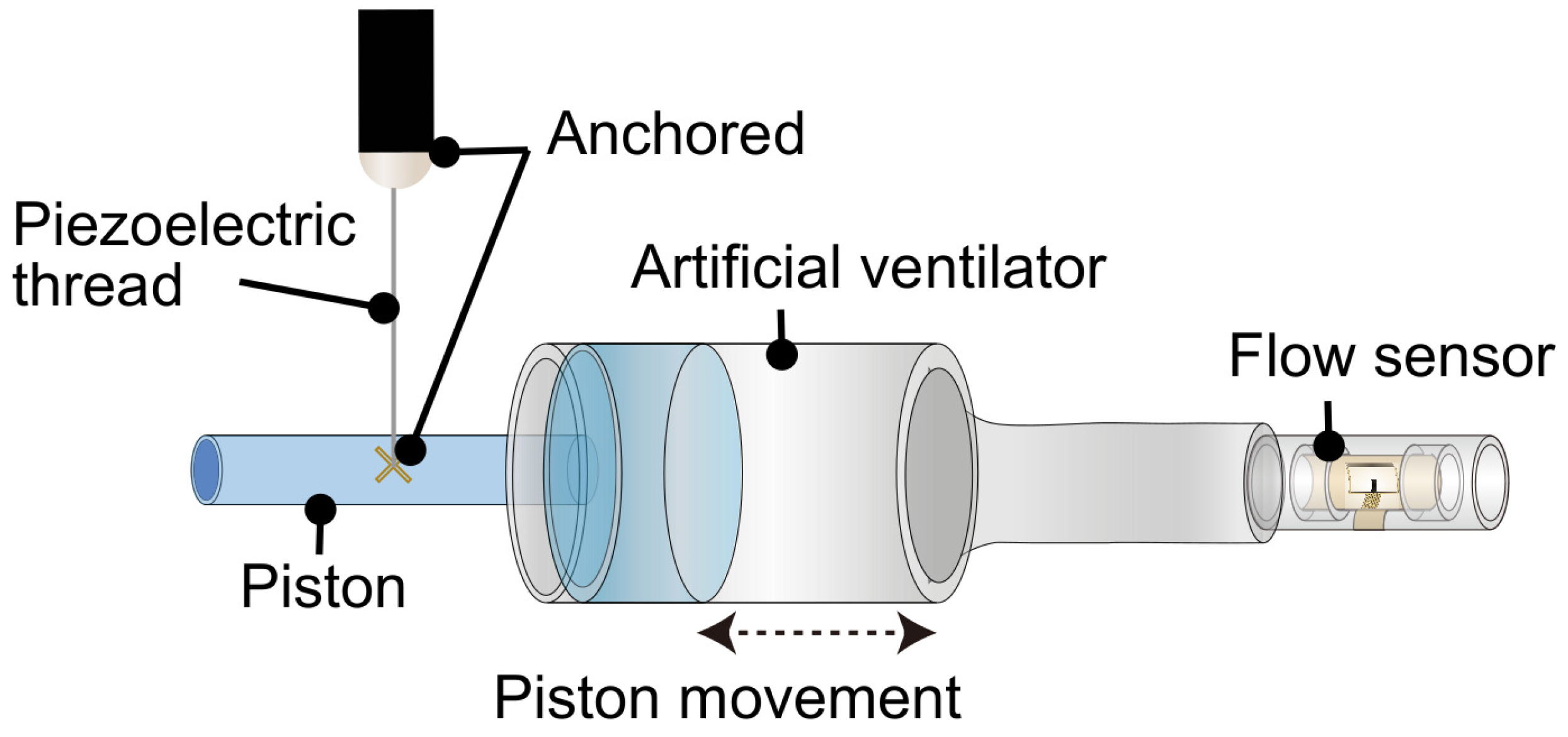 Electronics 13 04577 g005