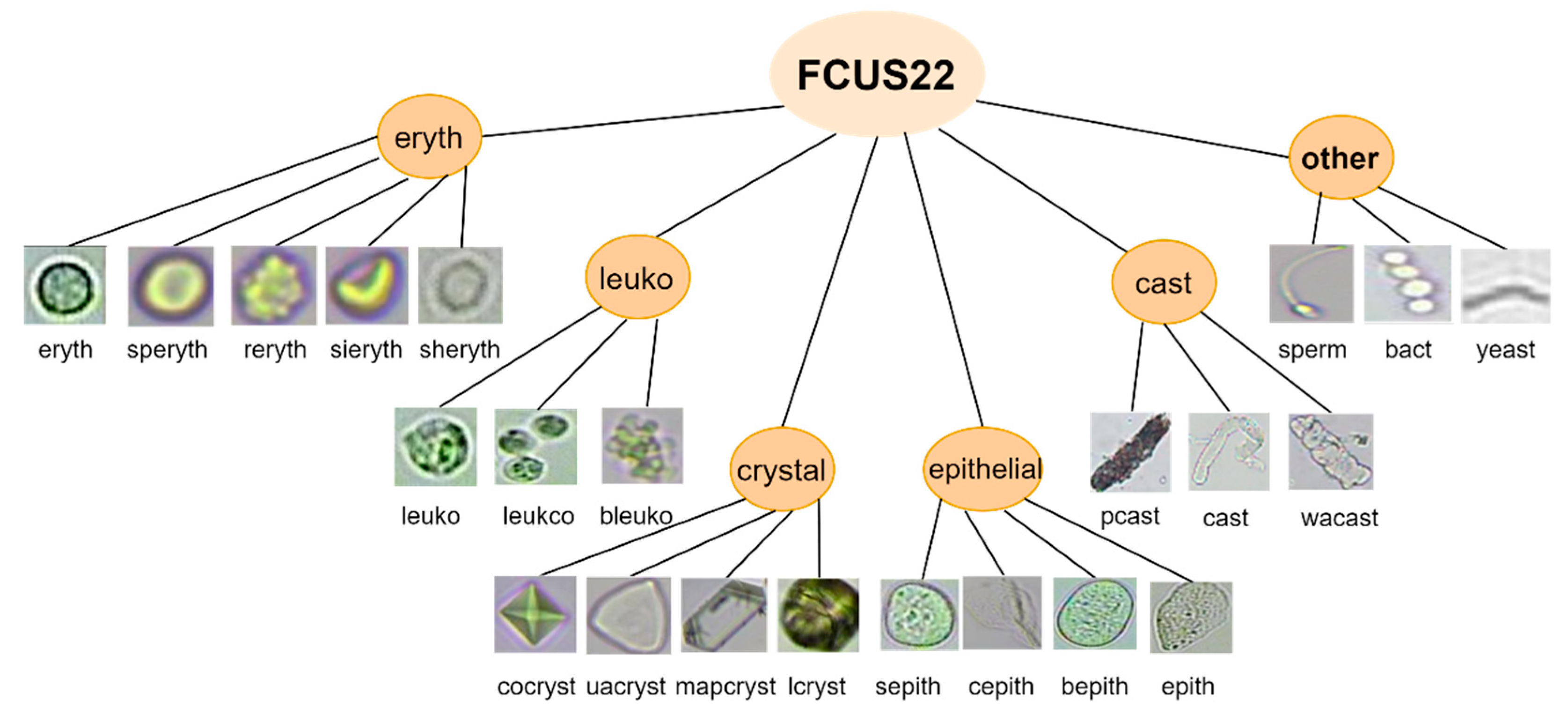Electronics 13 04653 g005
