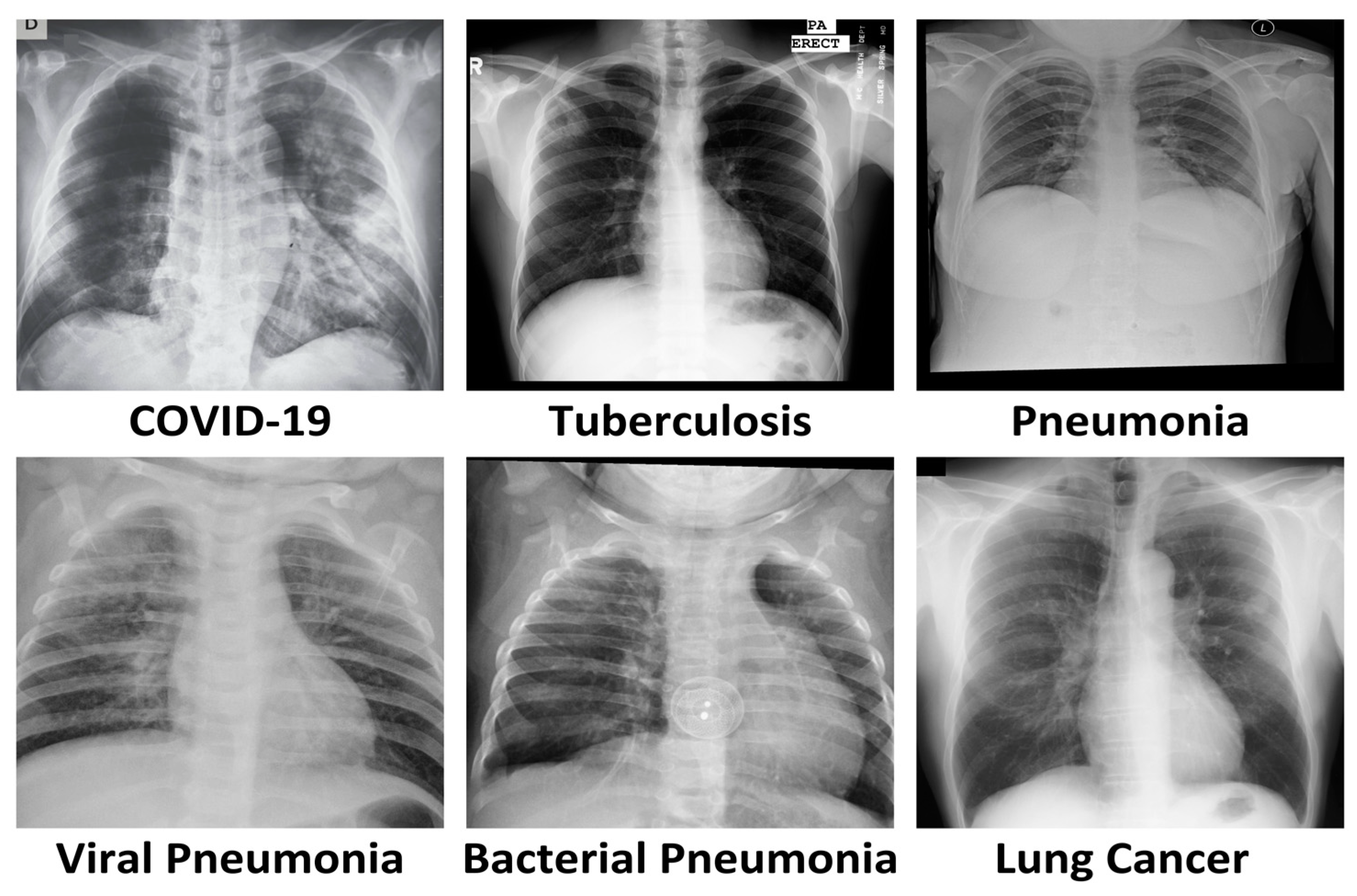 Electronics 13 04688 g001
