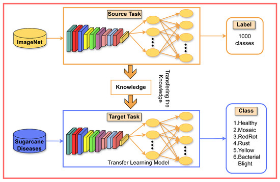 Customized Weighted Ensemble of Modified Transfer Learning Models for ...