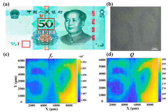 Penetrating Imaging of Concealed Features in Banknotes with
