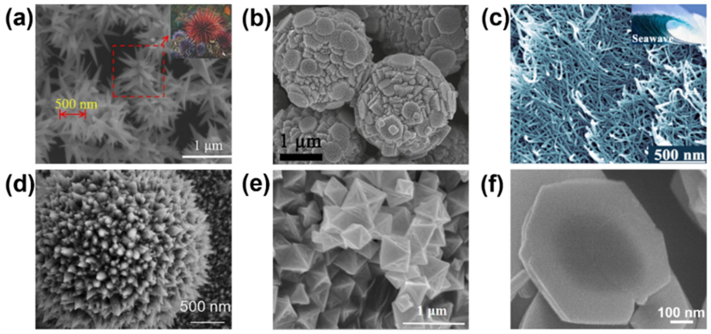 Electronics 13 04800 g003