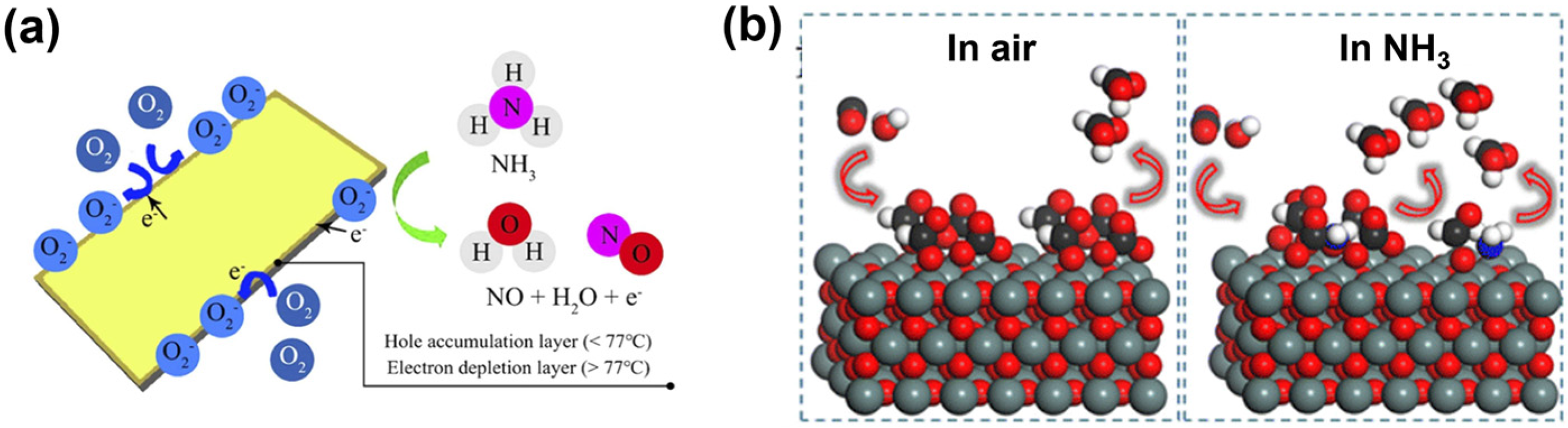 Electronics 13 04800 g006