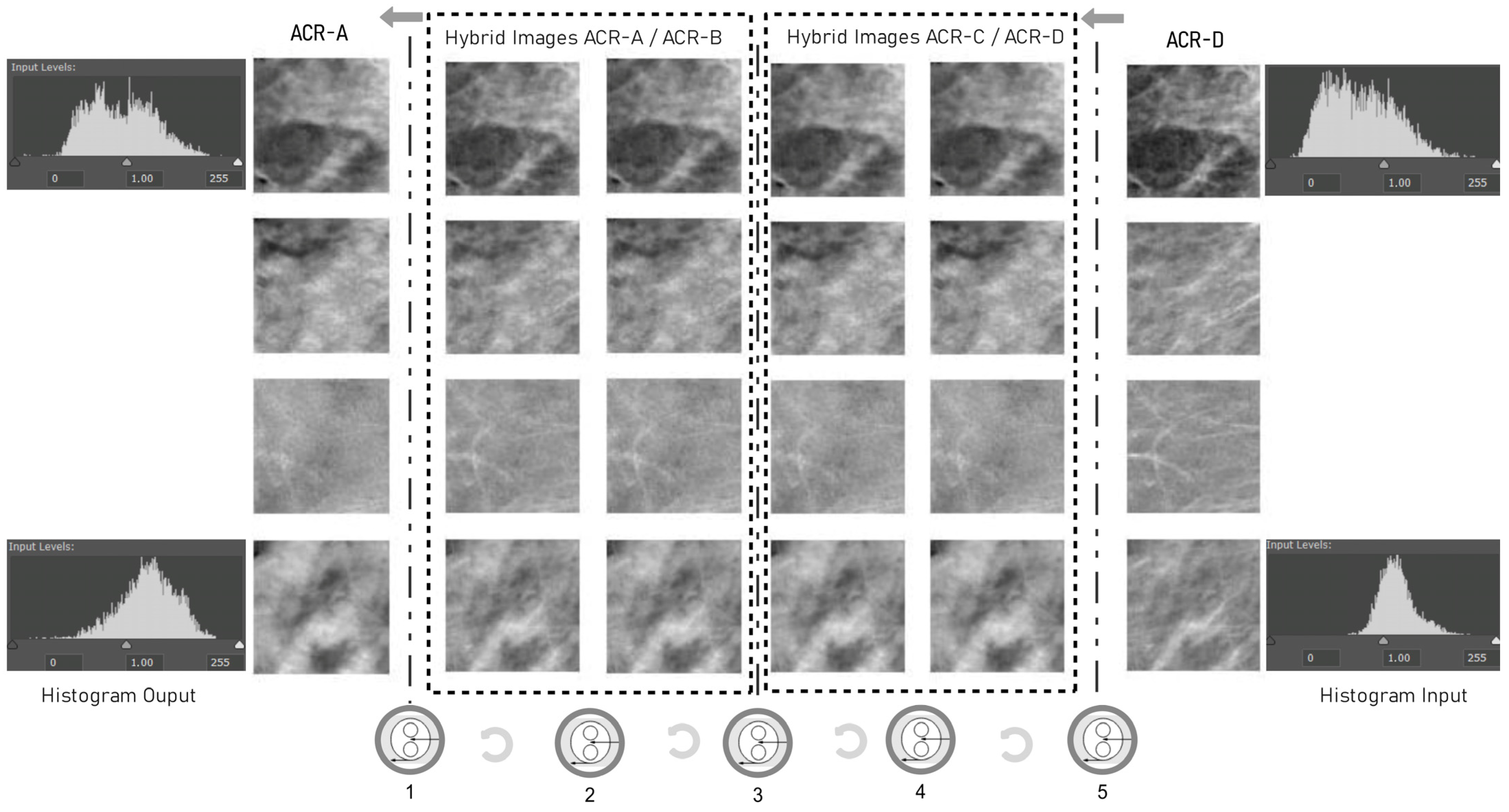 Electronics 13 04826 g005