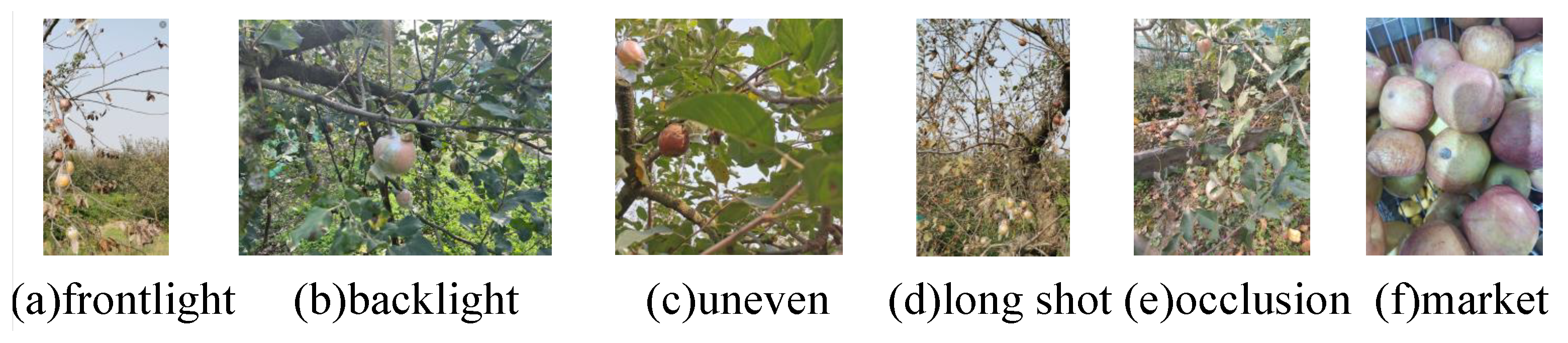 Electronics 13 04844 g011