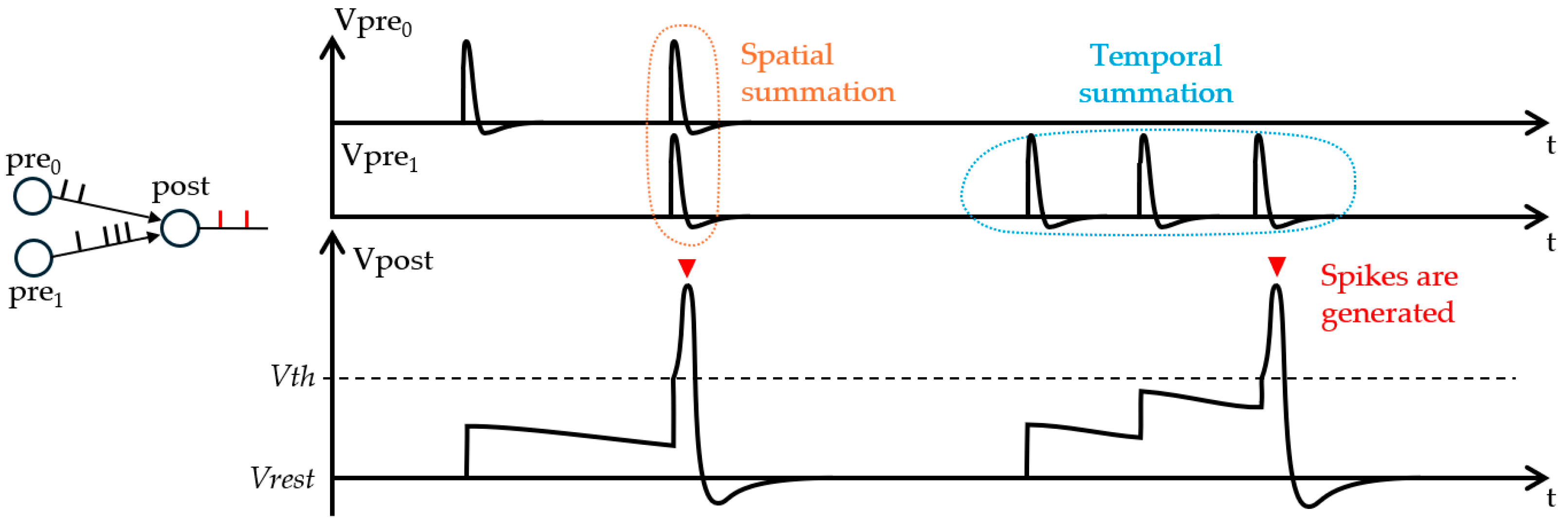 Electronics 13 04858 g001