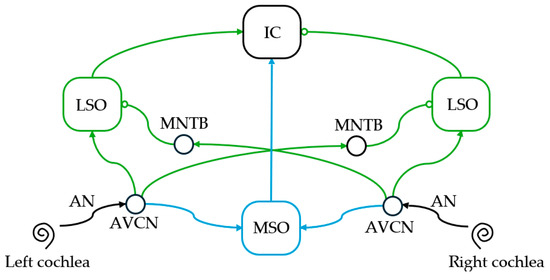 A Review of Neuromorphic Sound Source Localization and