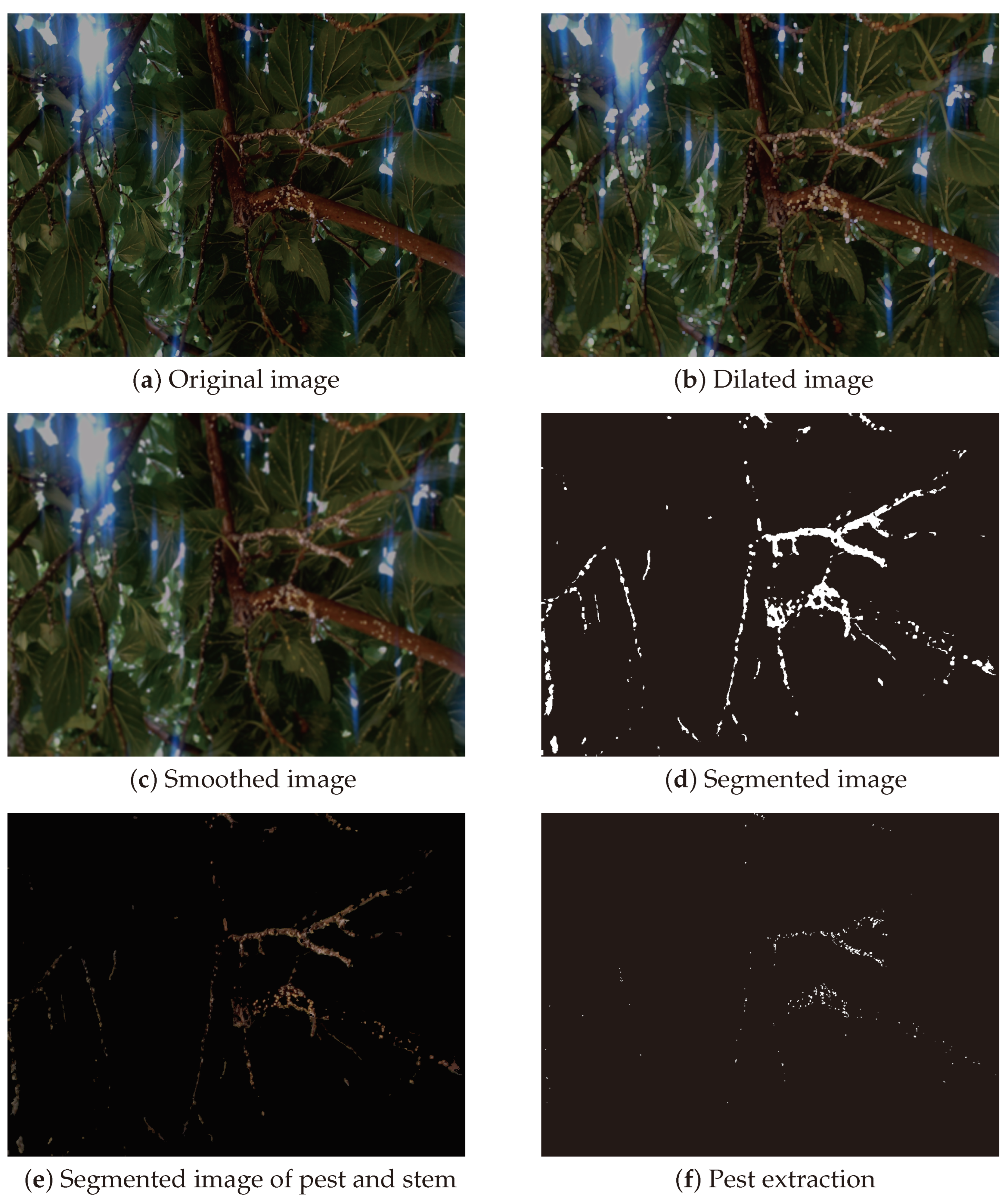 Electronics 13 04863 g015