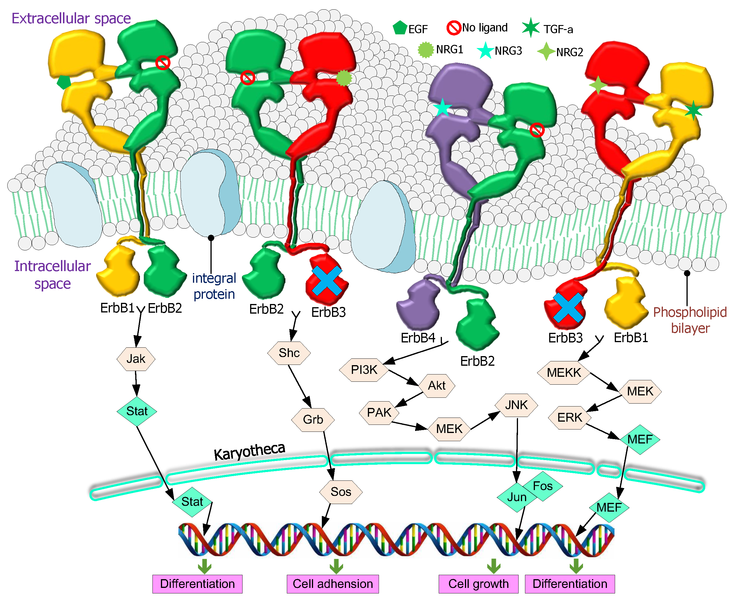 Electronics 13 04929 g011
