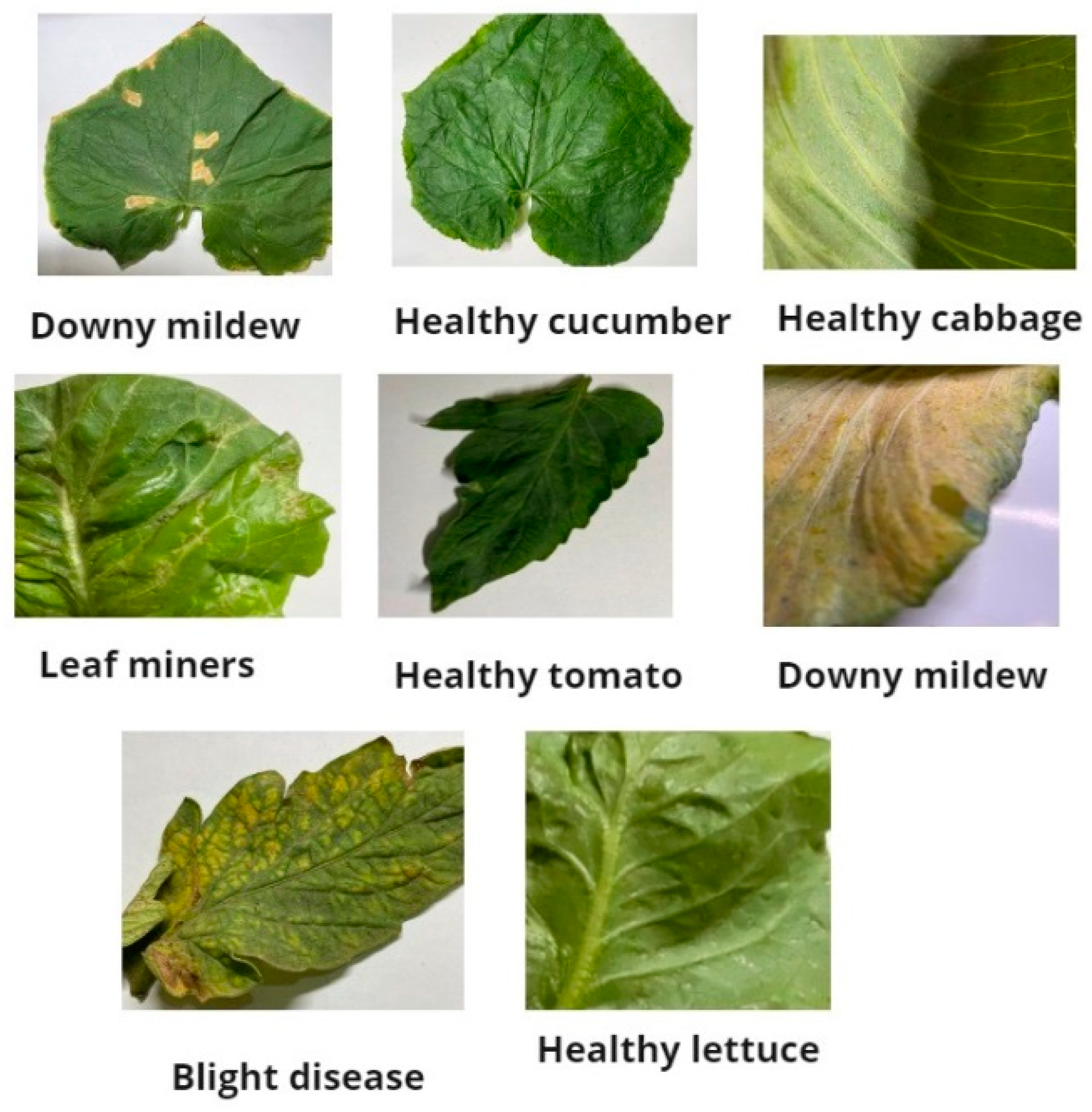 Electronics 13 04942 g002