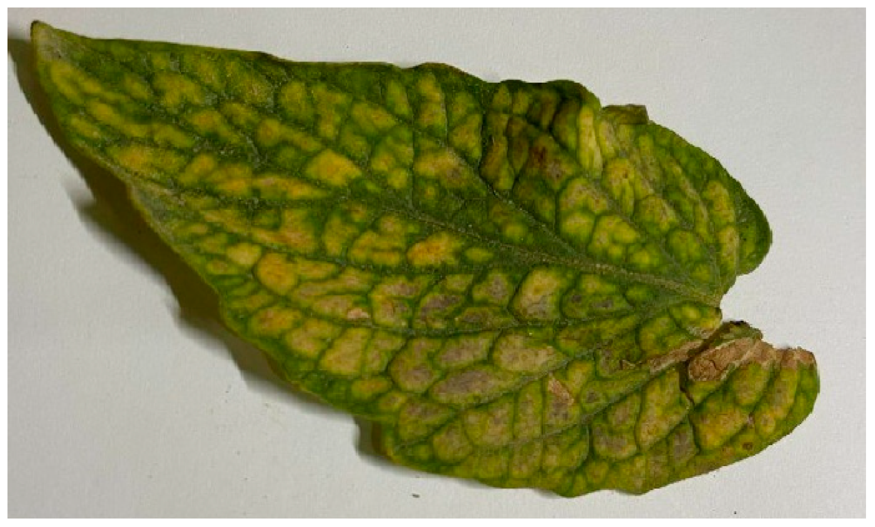 Electronics 13 04942 g003