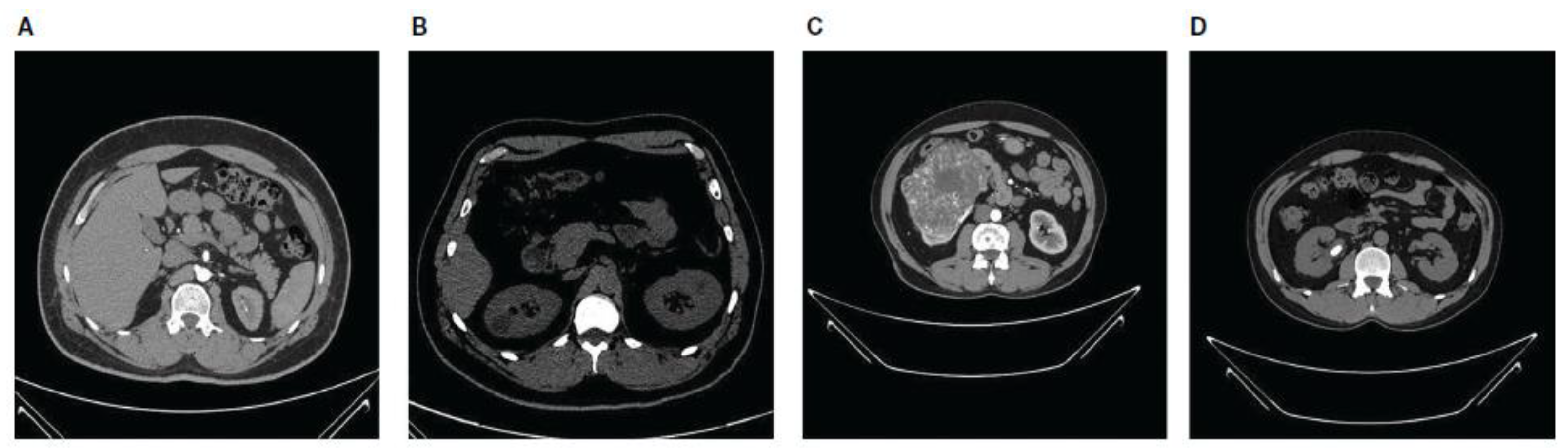 Electronics 13 04981 g001