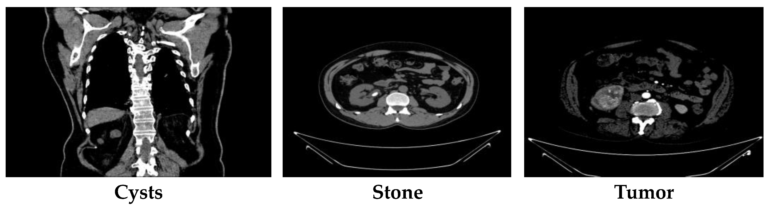 Electronics 13 04981 g013