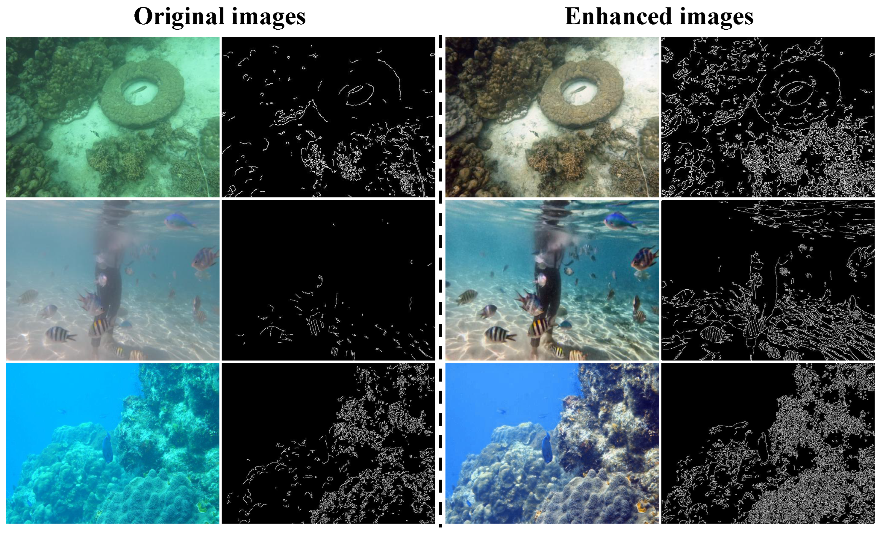 Electronics 13 05003 g010