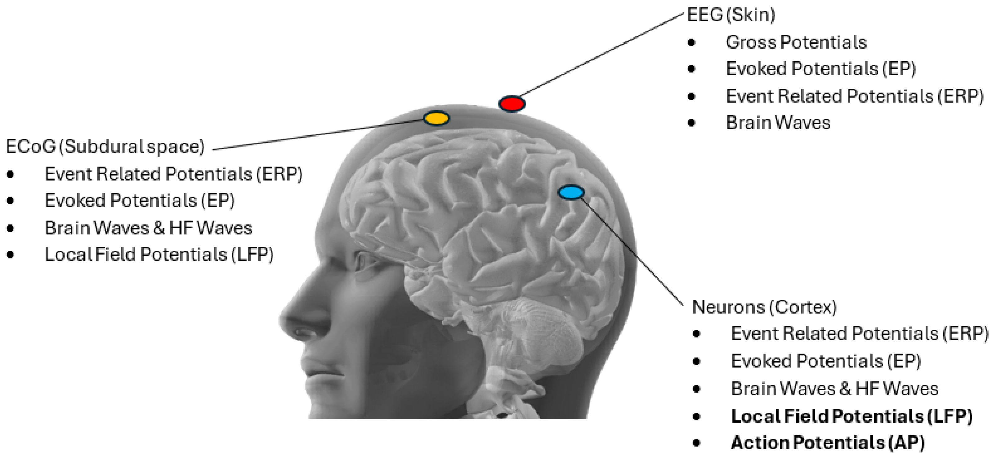 Electronics 14 00030 g003