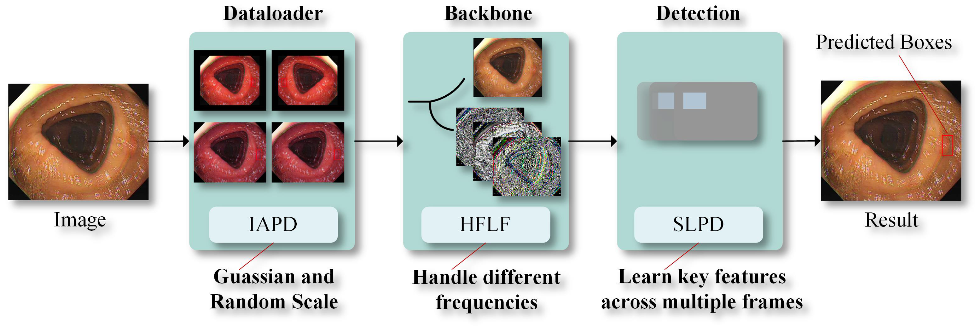 Electronics 14 00062 g003