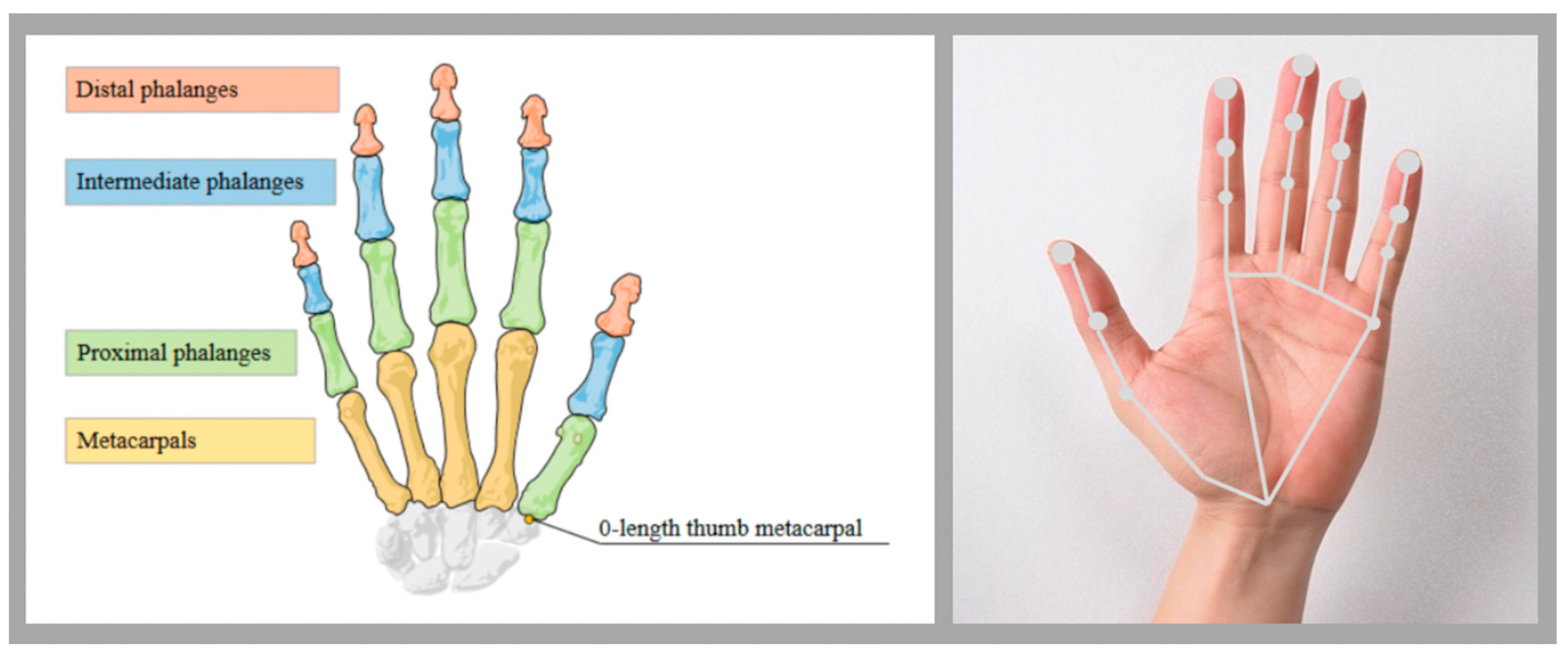 Electronics 14 00119 g010
