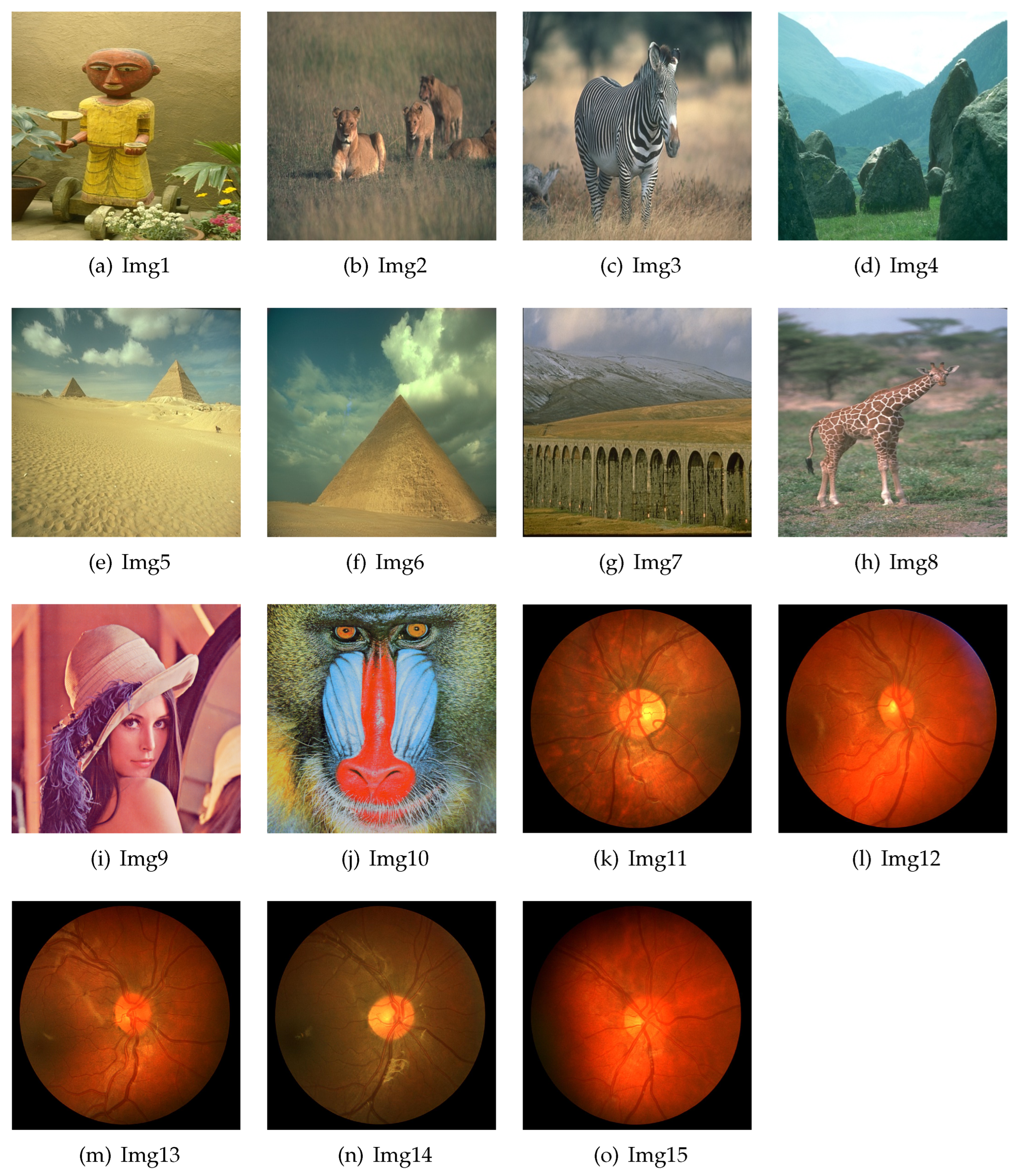 Electronics 14 00145 g003