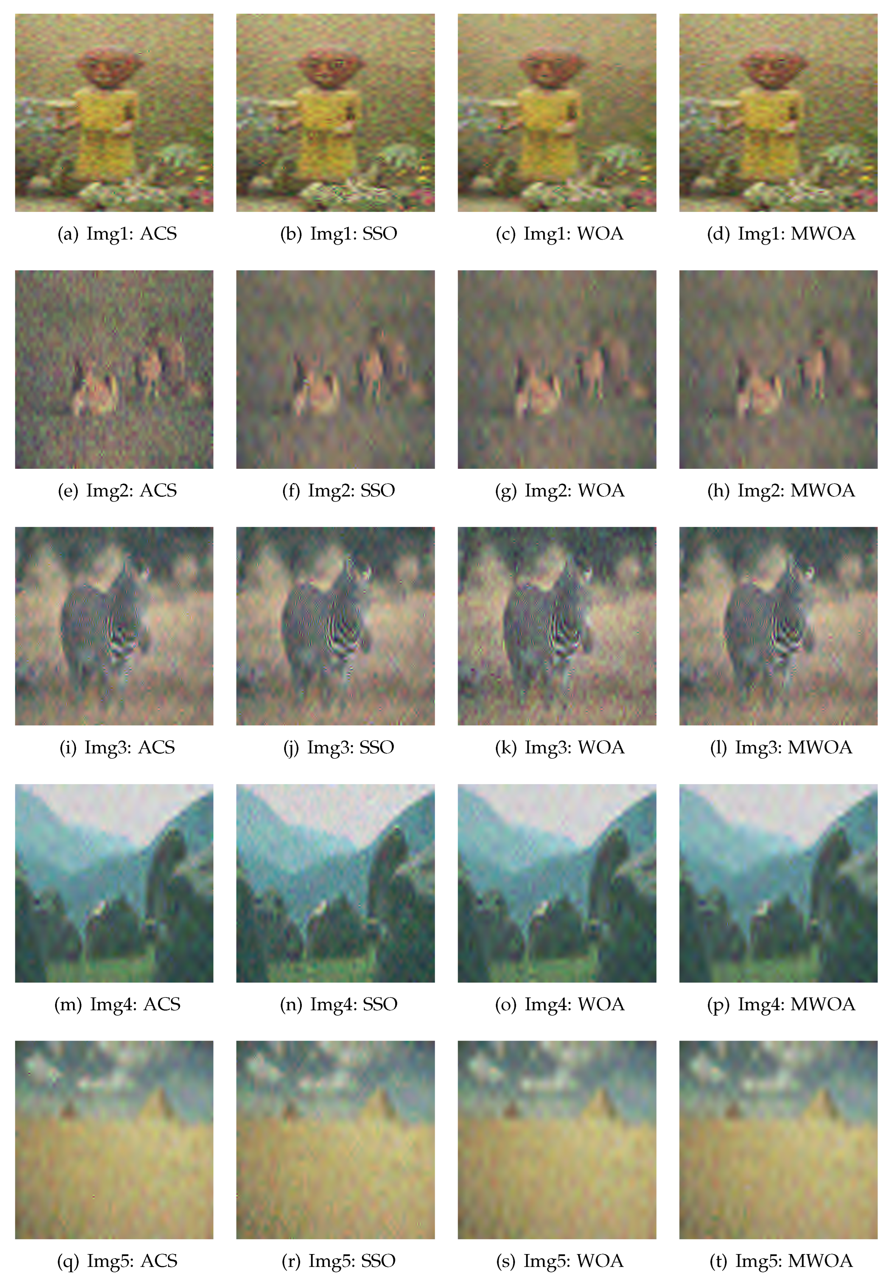 Electronics 14 00145 g005