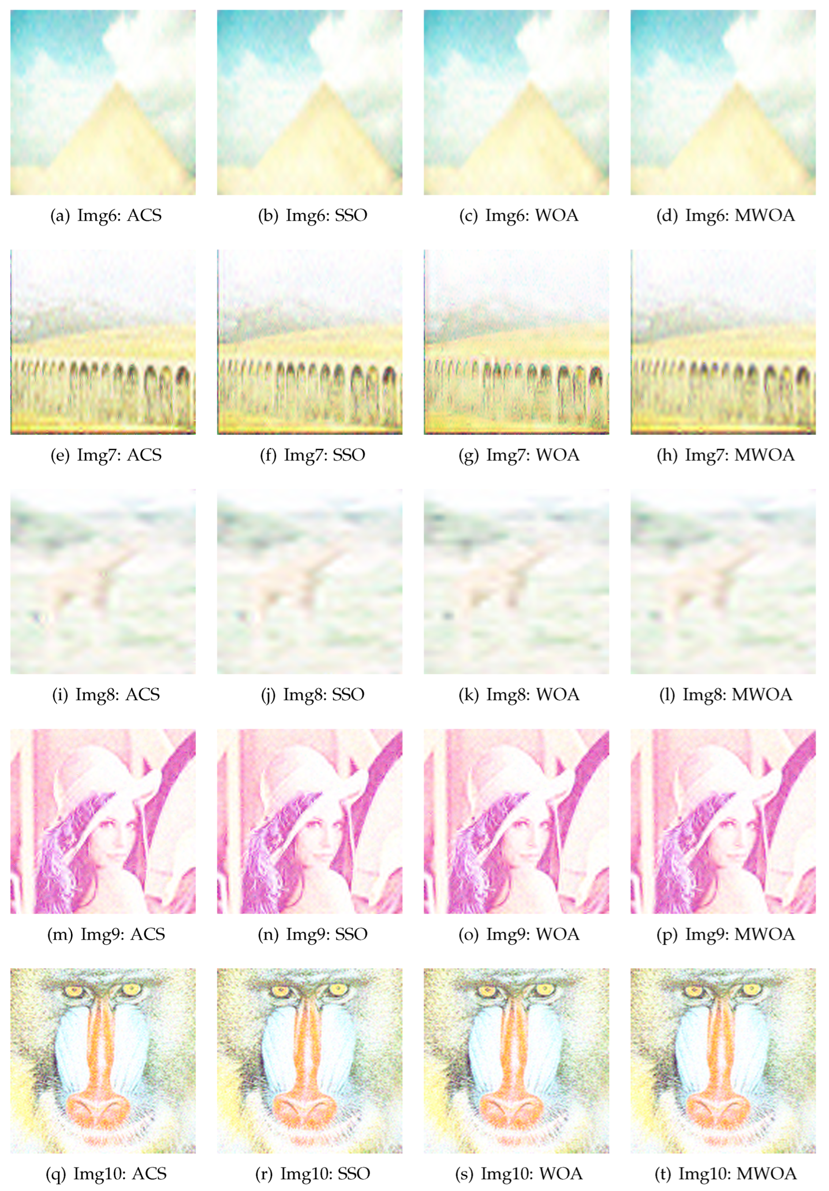 Electronics 14 00145 g010