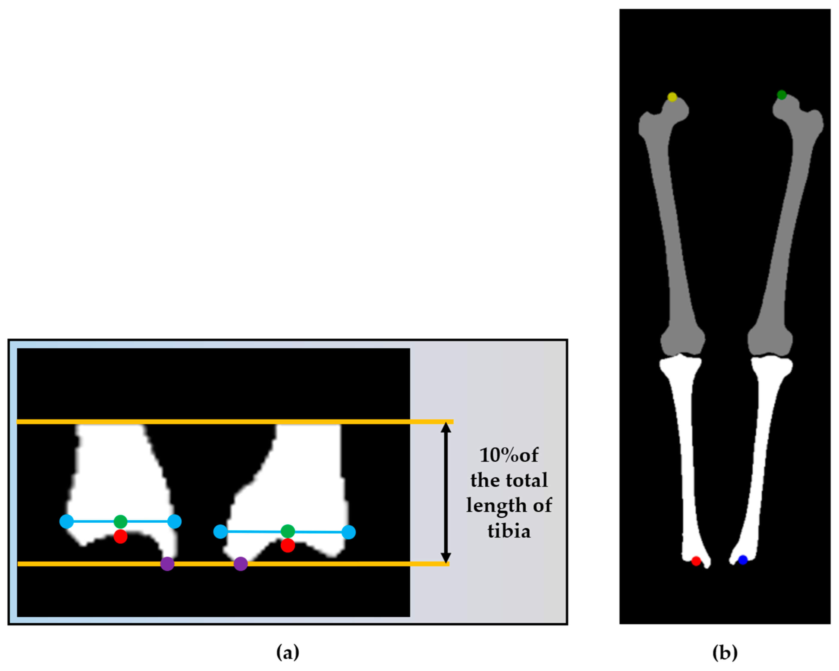 Electronics 14 00160 g006